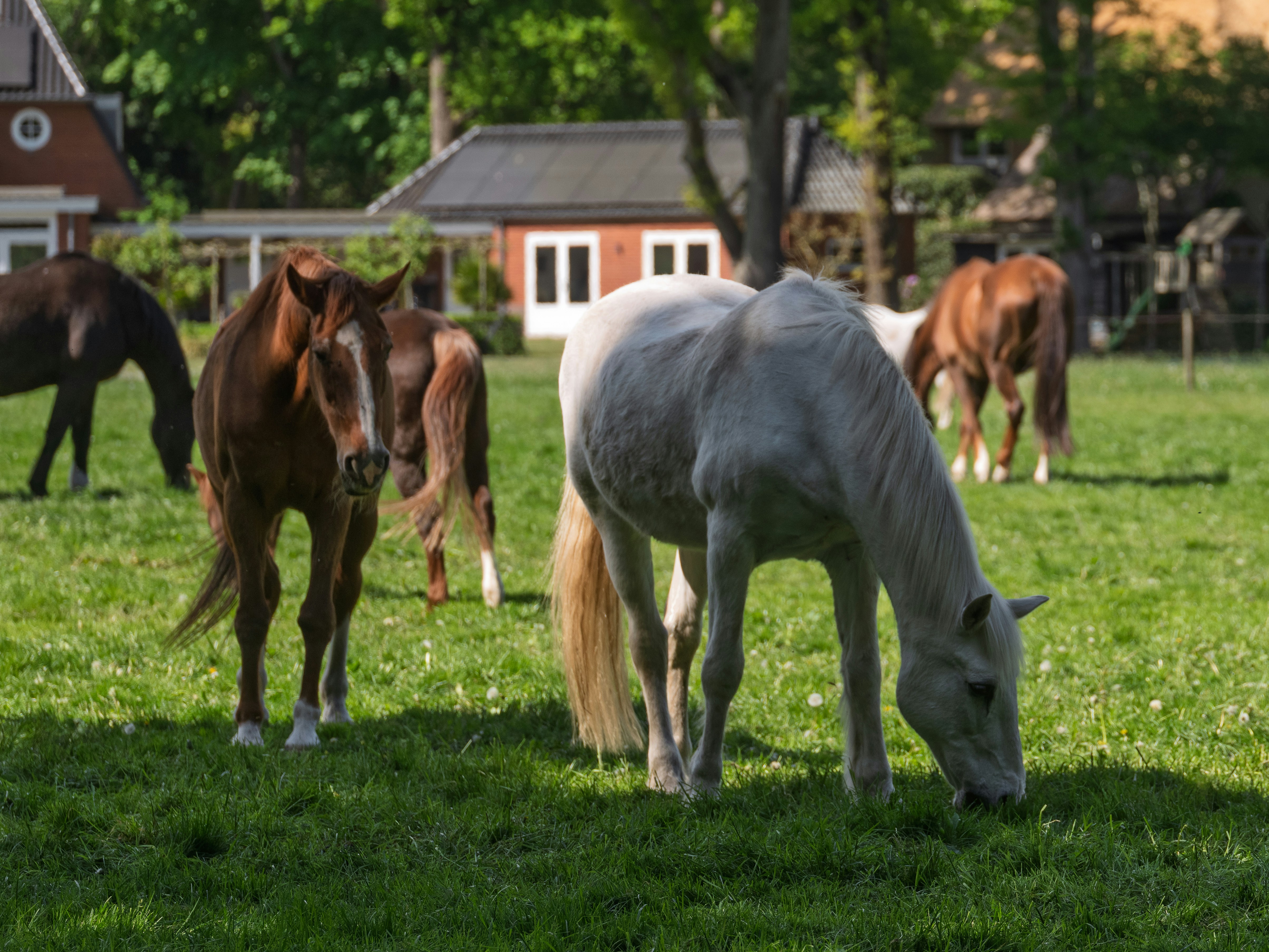 Photo by haberdoedas