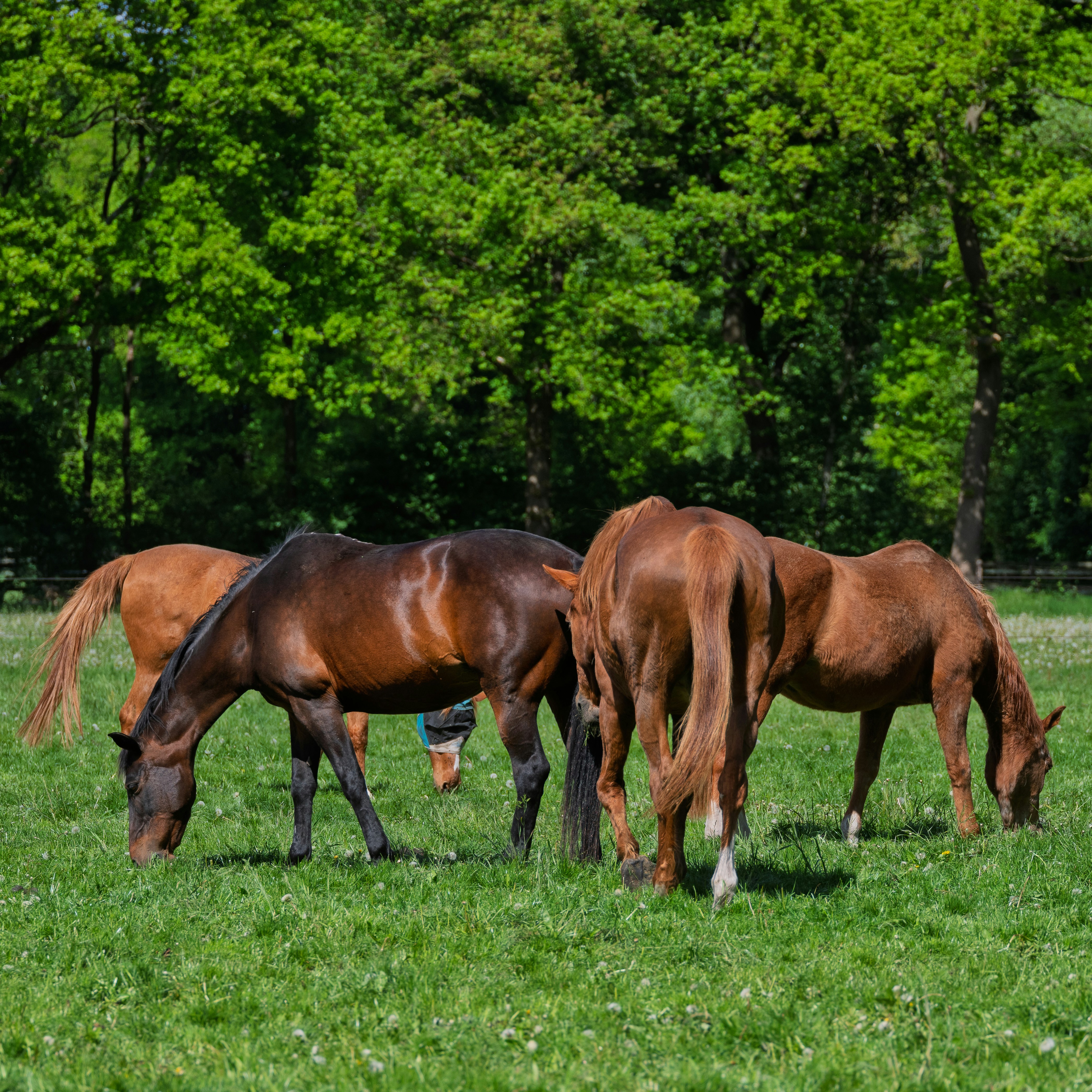 Photo by haberdoedas