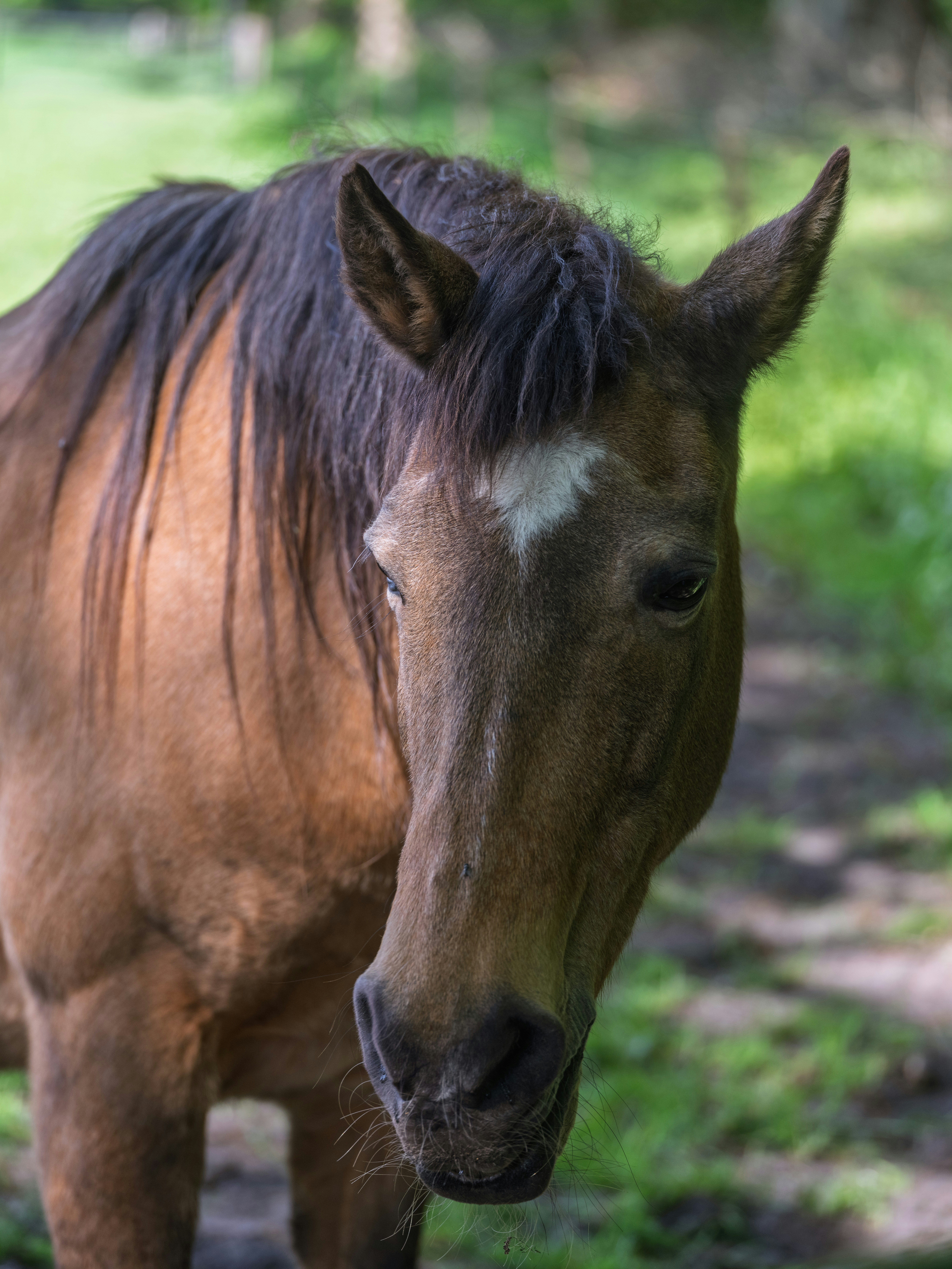 Photo by haberdoedas