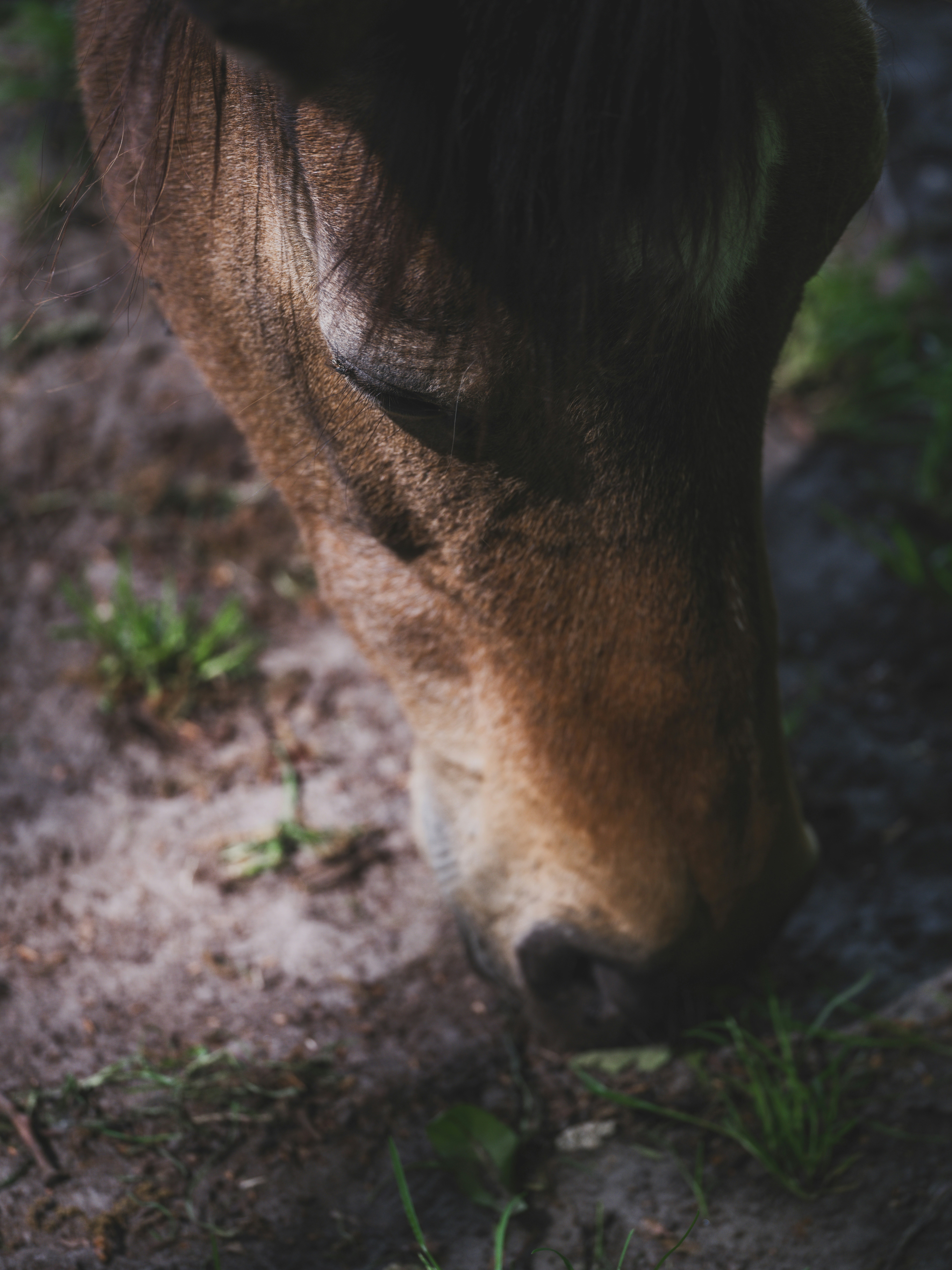 Photo by haberdoedas