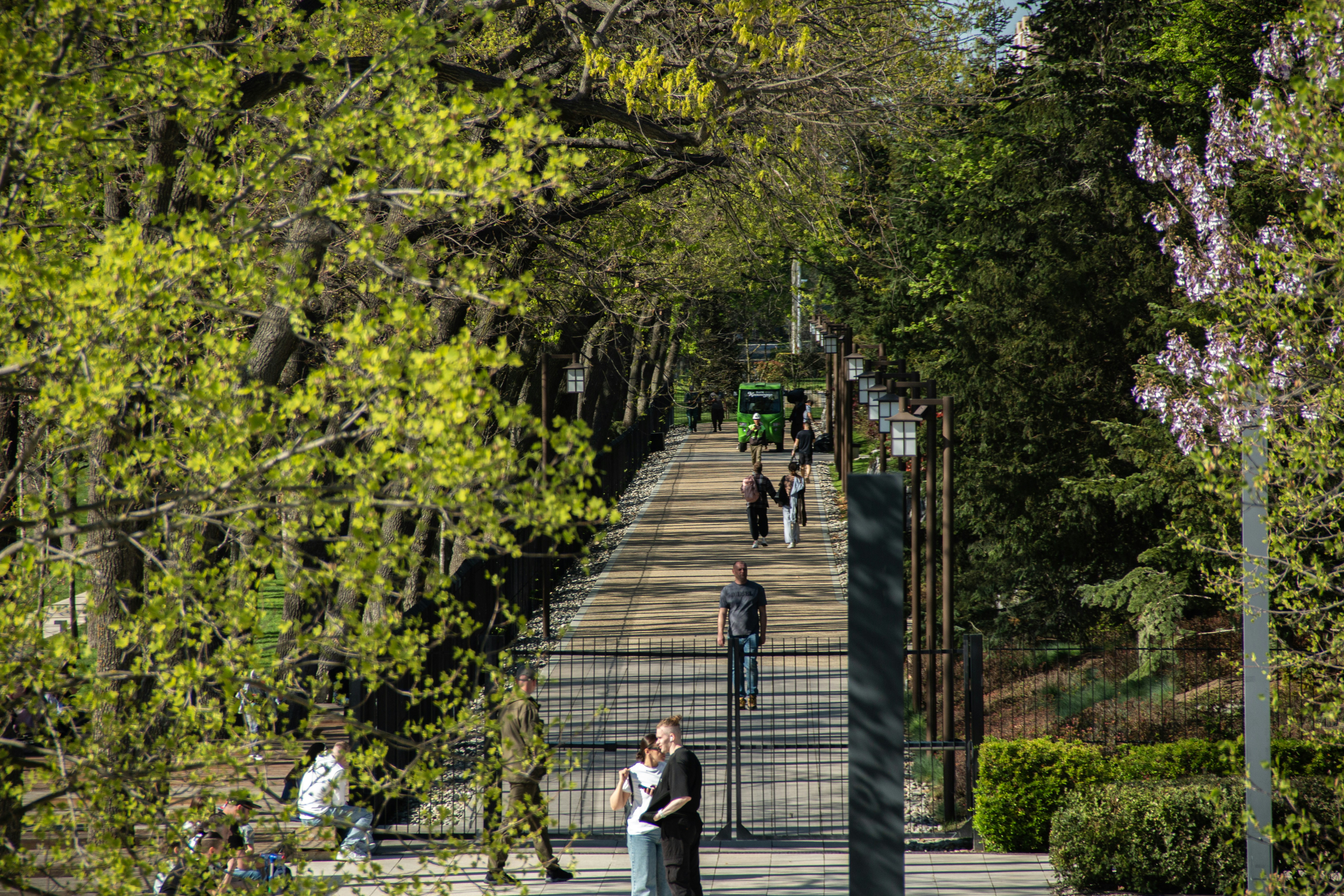 Photo by stepan_konev