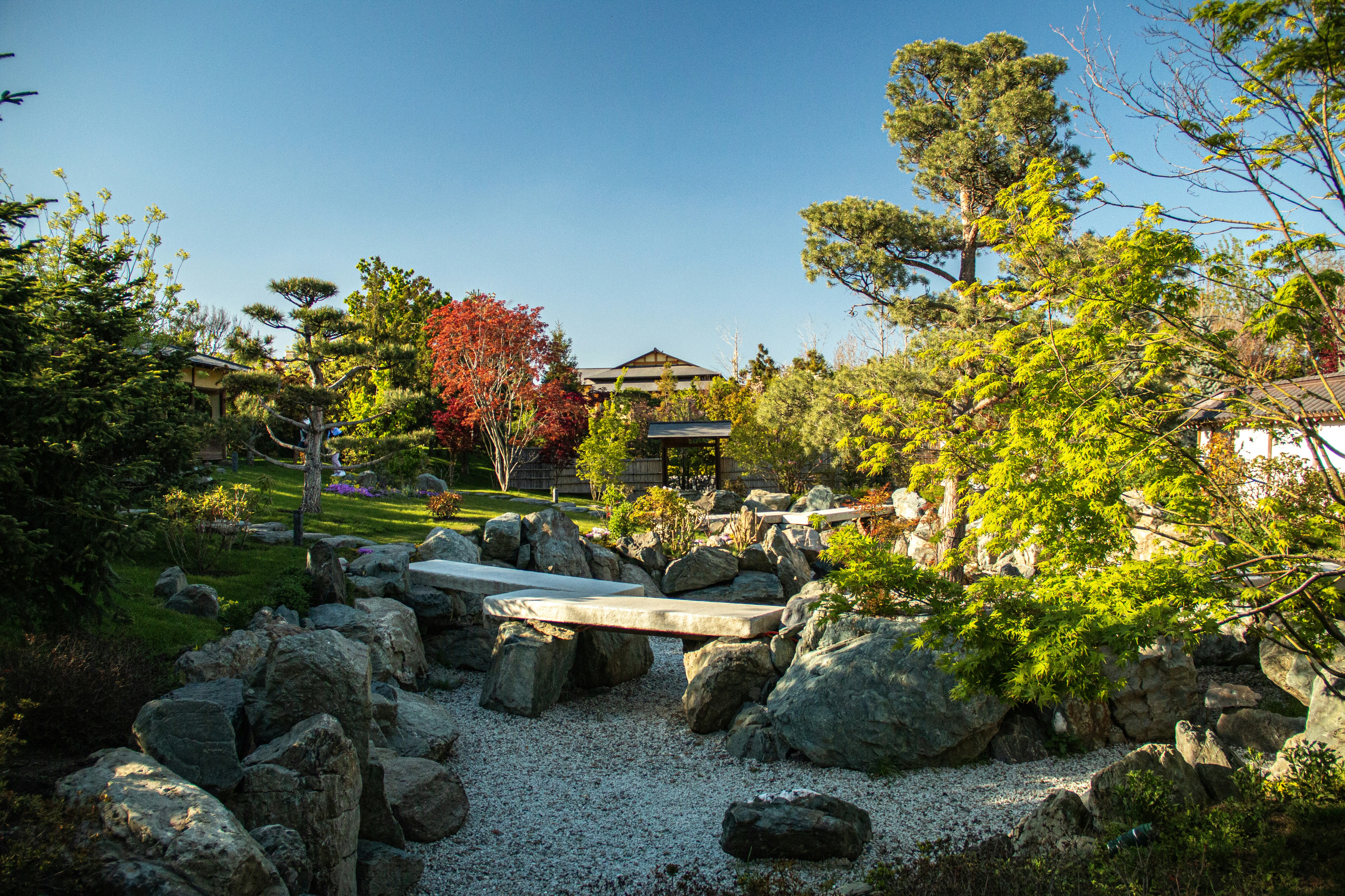 Photo by stepan_konev