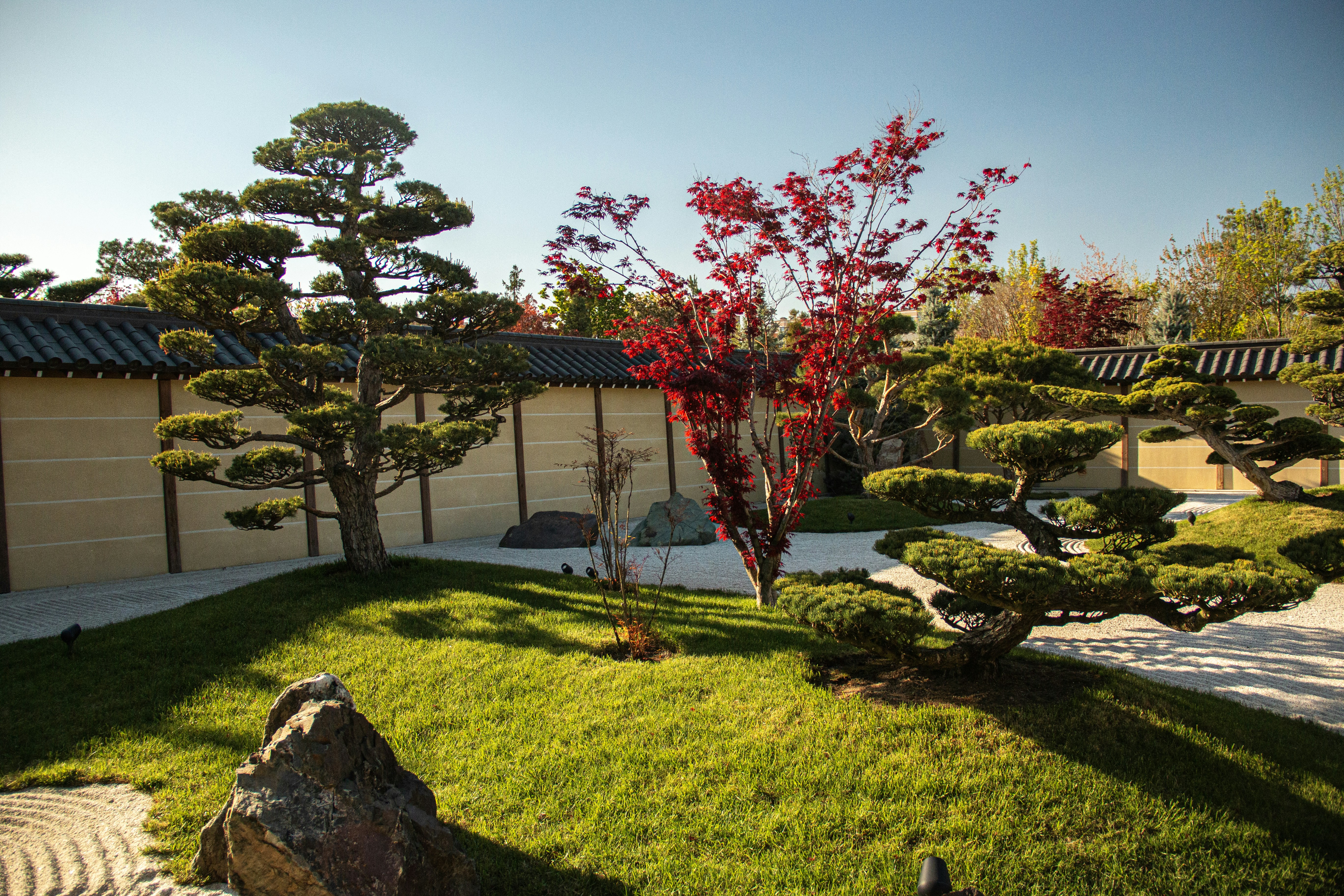 Photo by stepan_konev