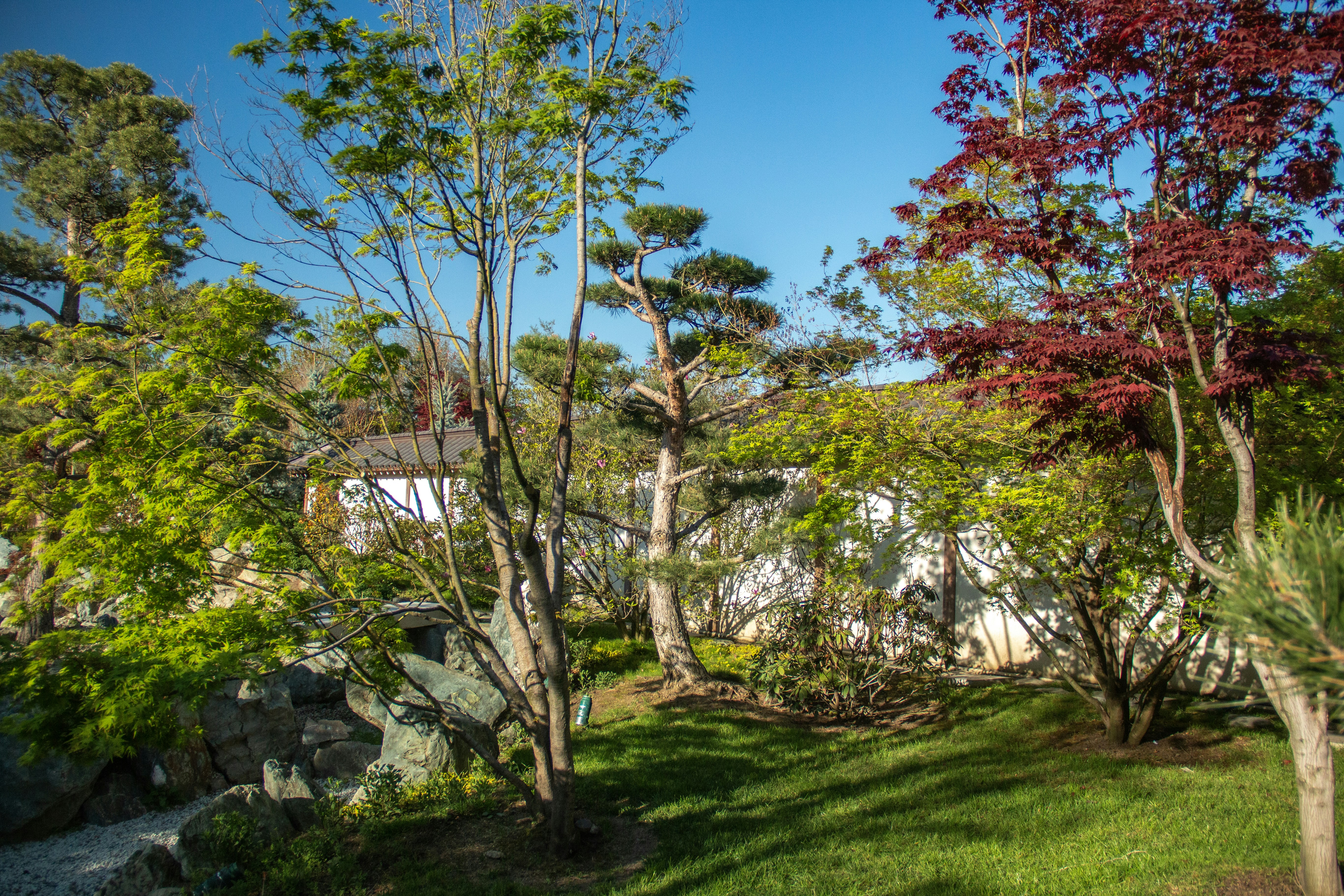 Photo by stepan_konev