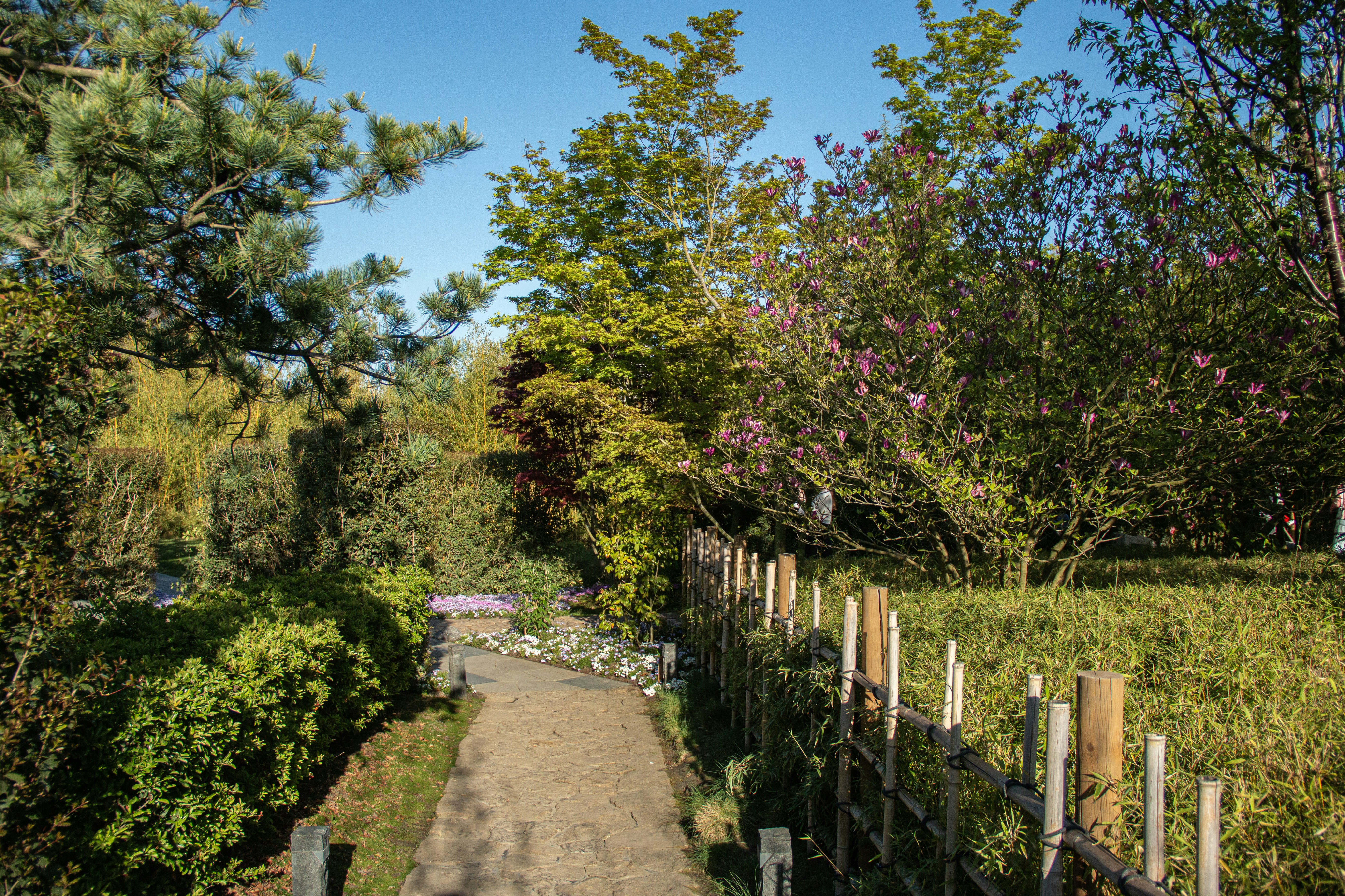 Photo by stepan_konev