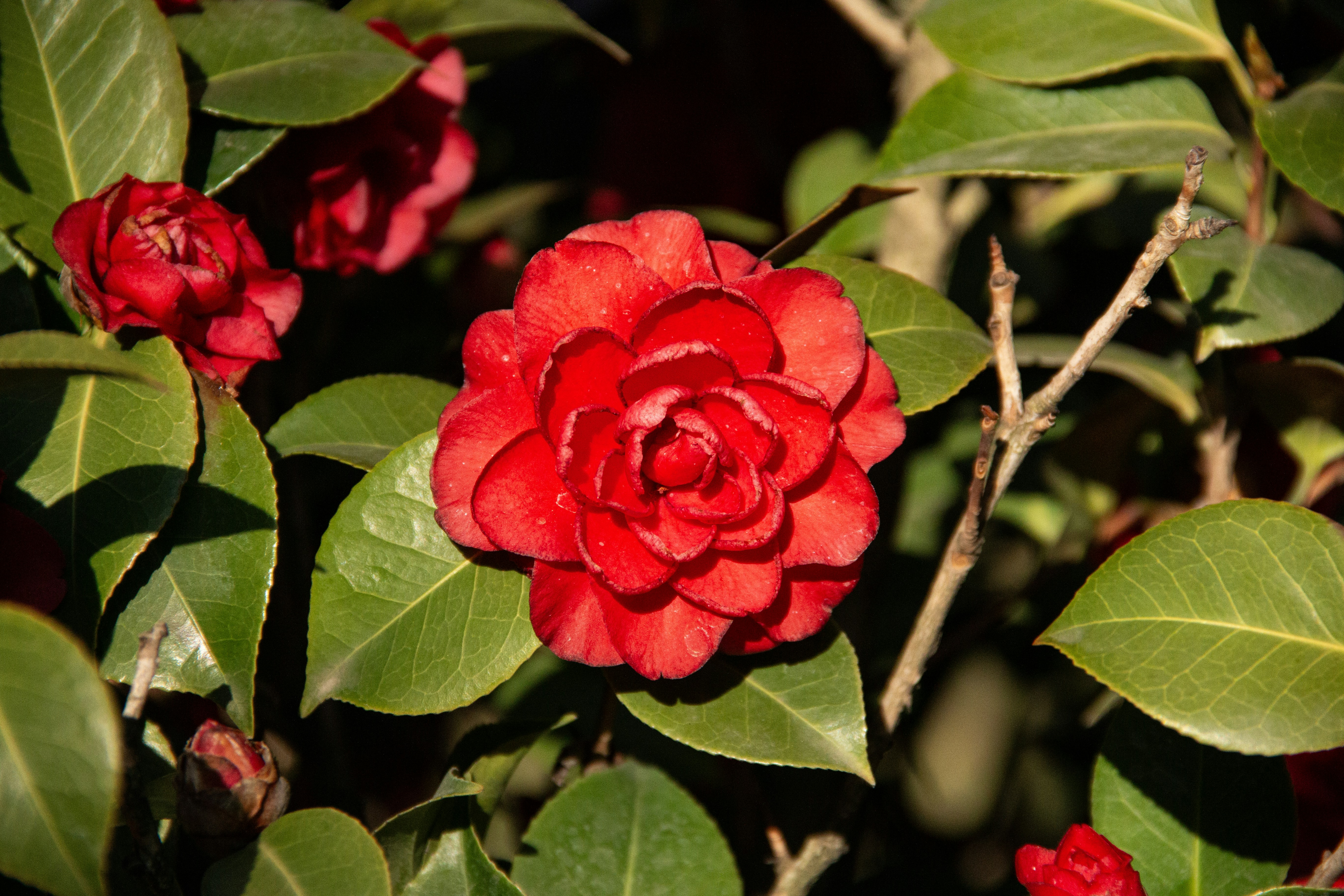 Photo by stepan_konev