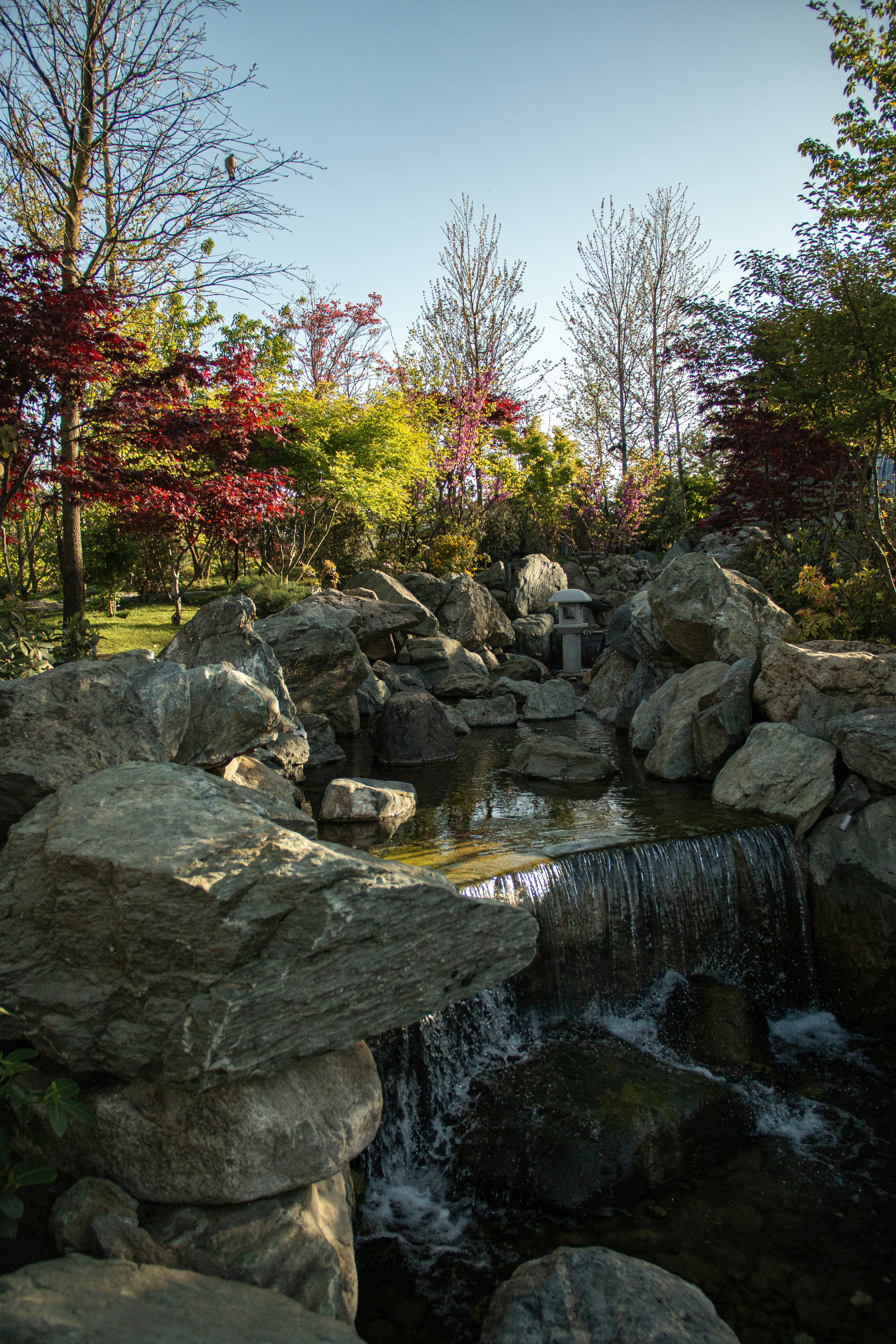 Photo by stepan_konev