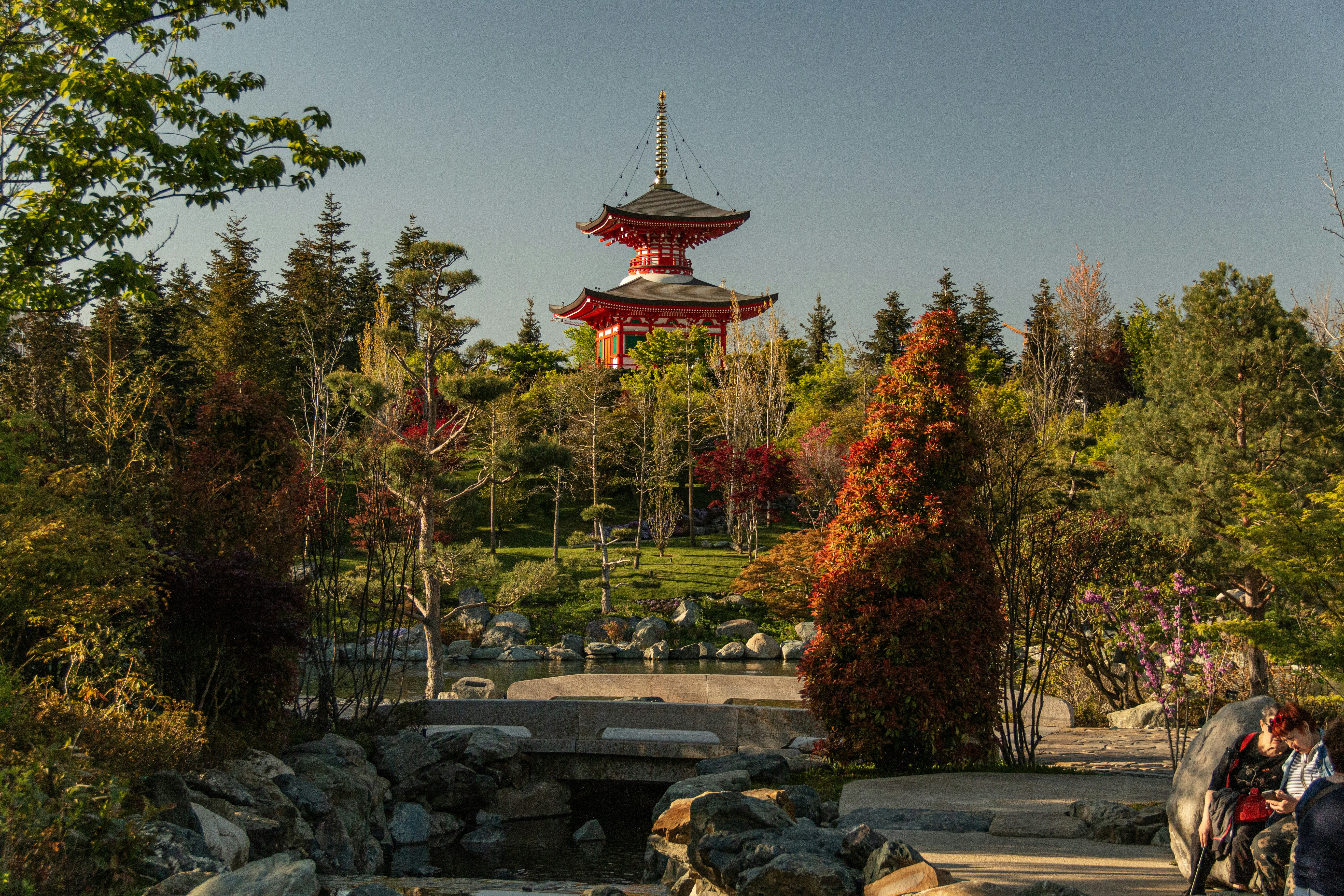 صورة المعرض