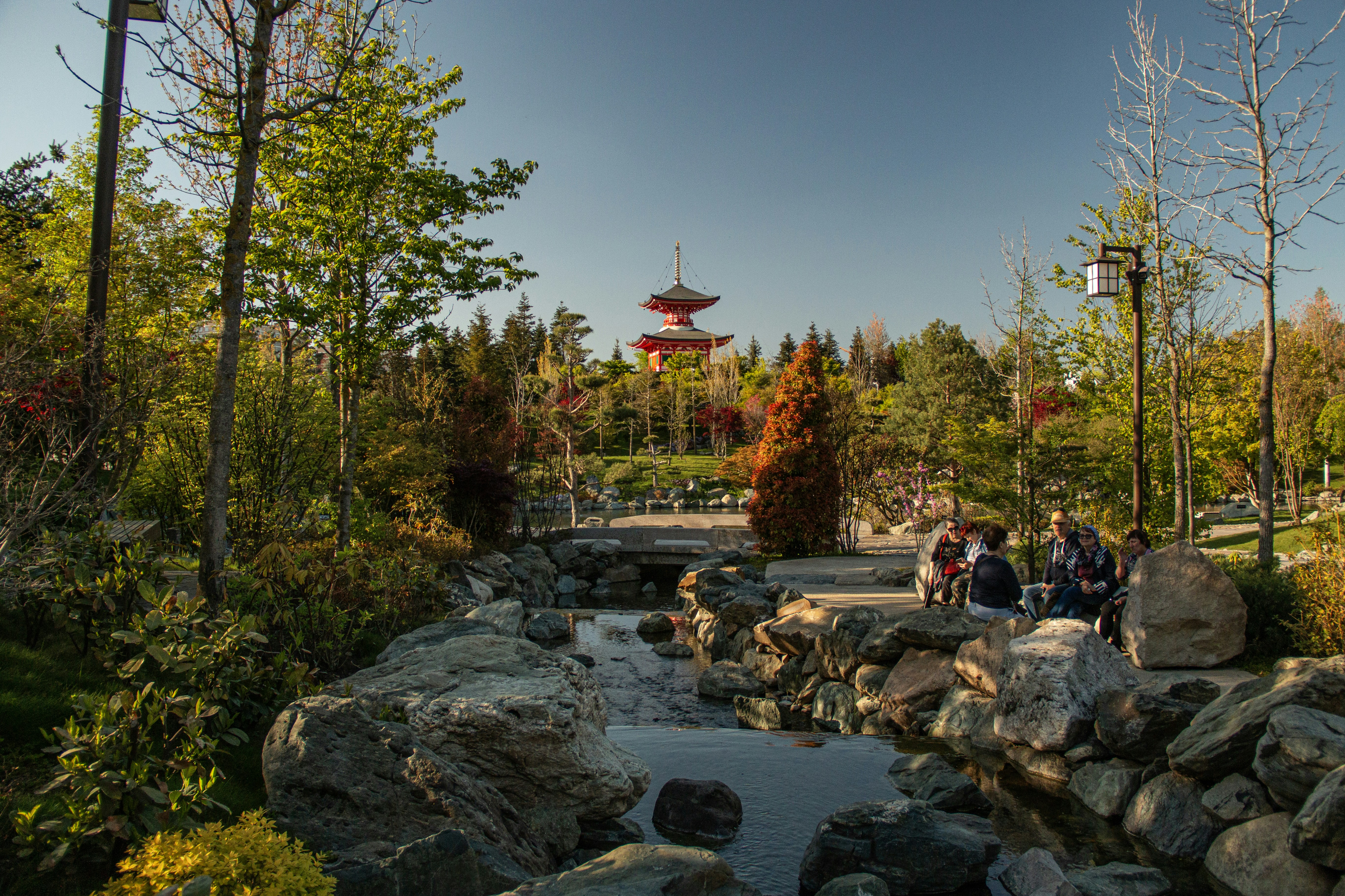 صورة المعرض