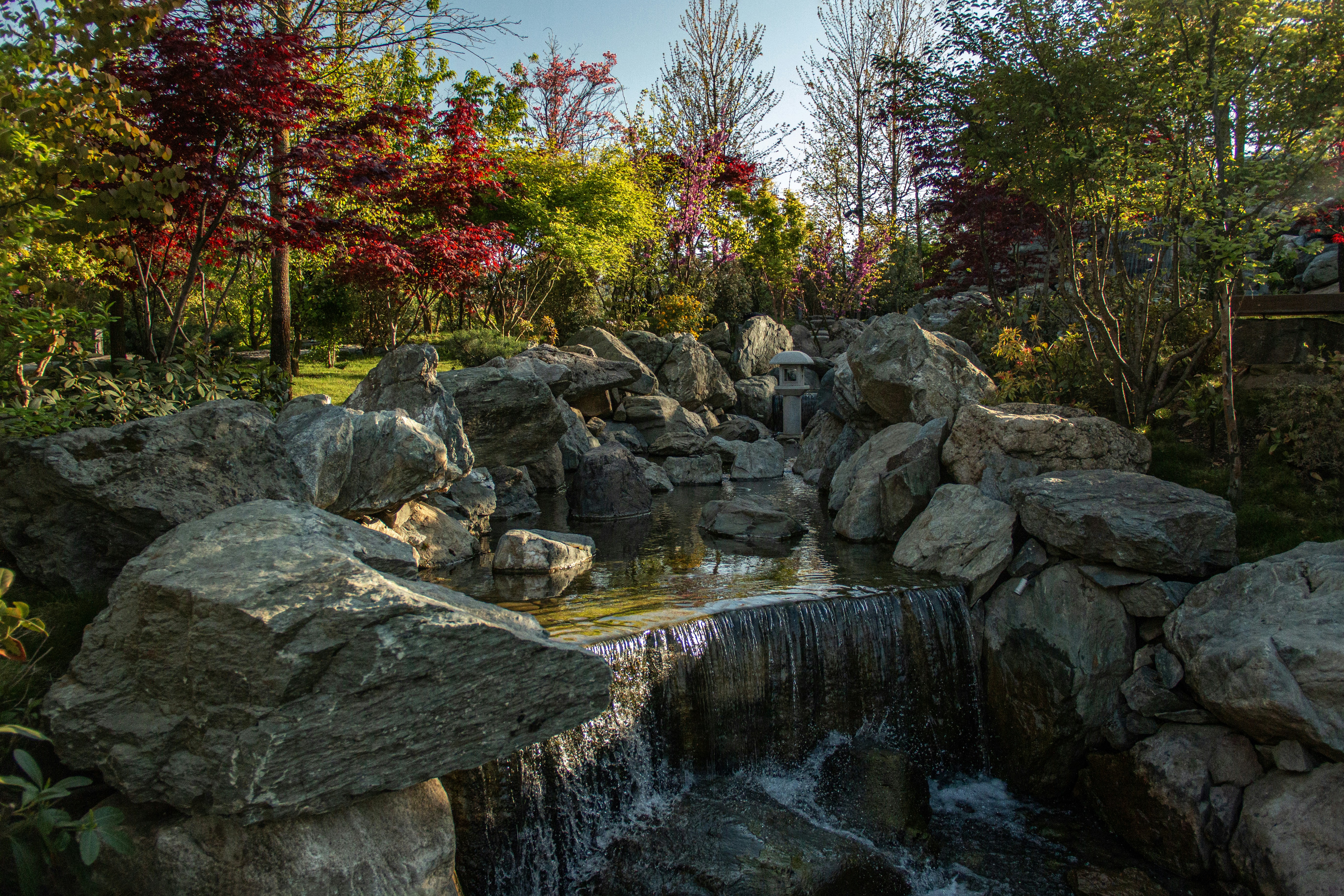 Photo by stepan_konev