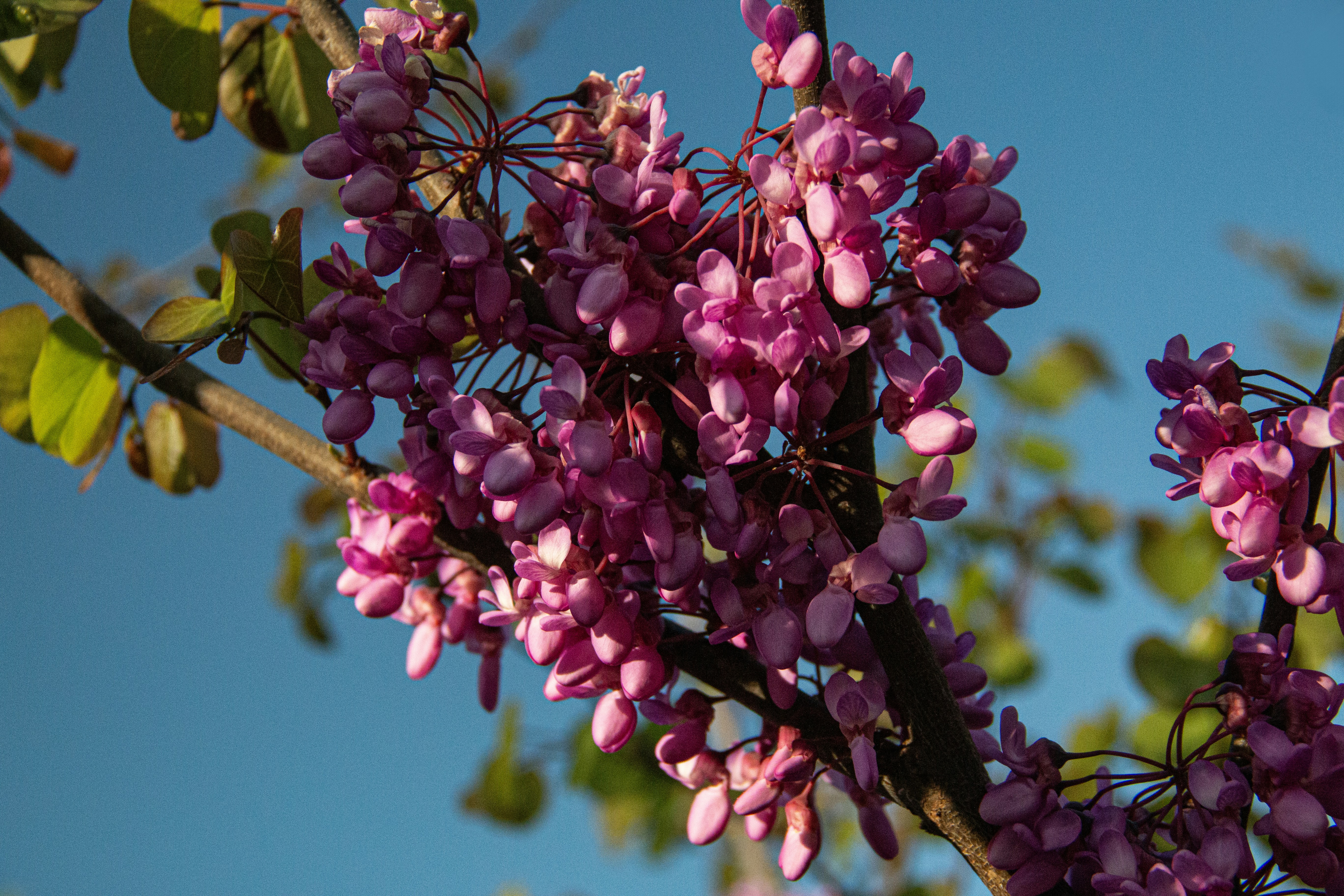 Photo by stepan_konev