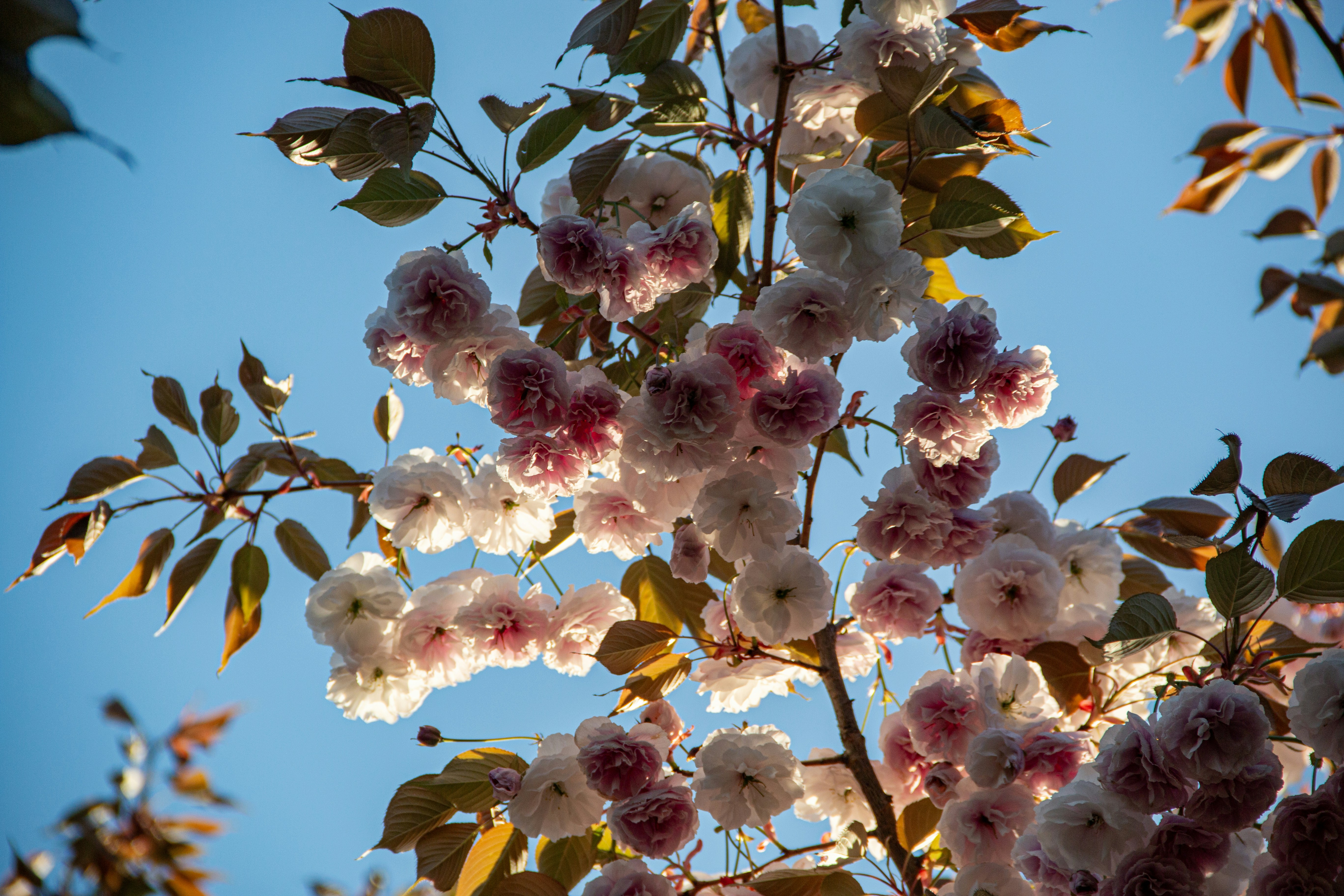 Photo by stepan_konev