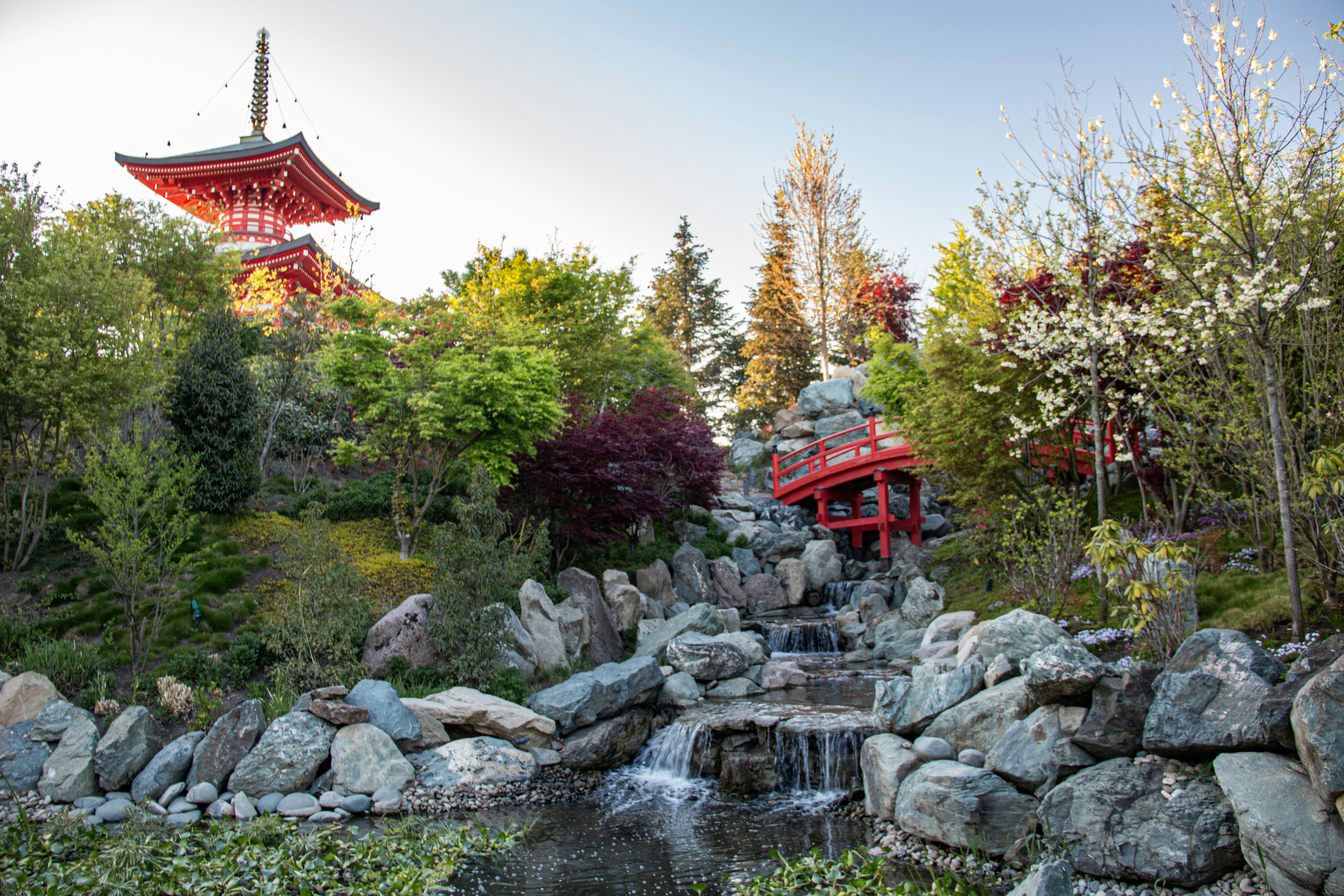 Photo by stepan_konev