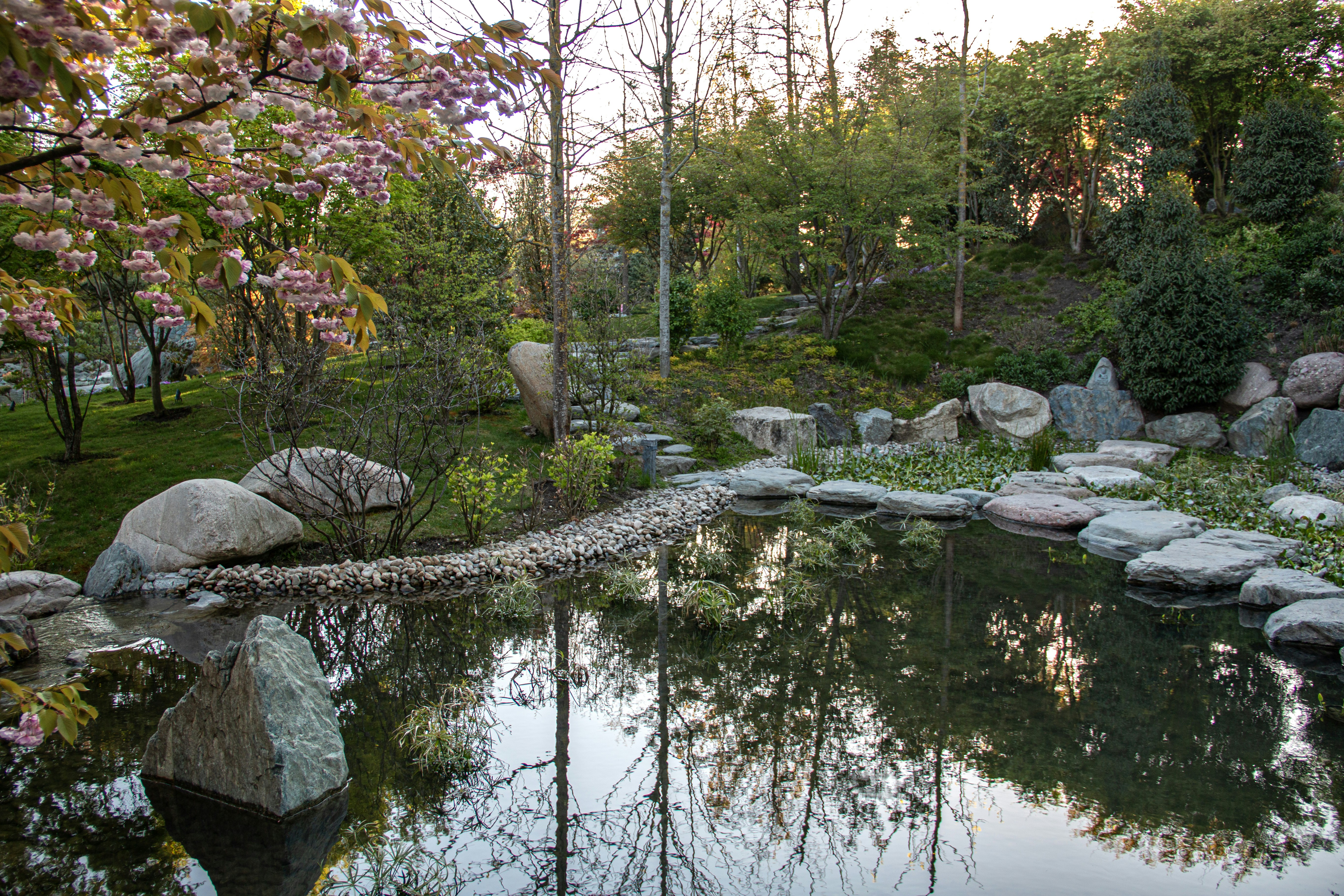 Photo by stepan_konev