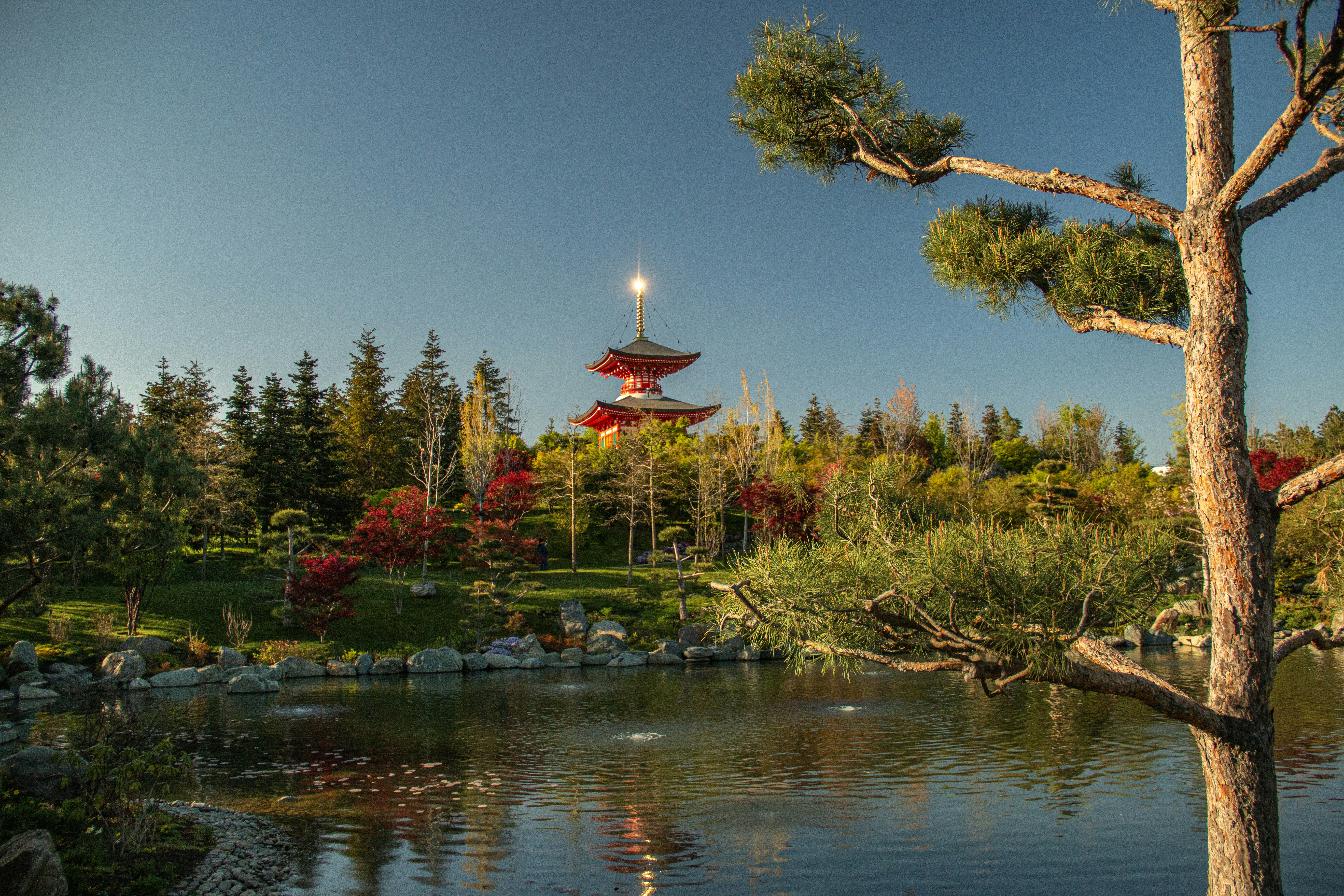 Japanese pagoda reflected in a serene lake. photo – Free Image on Unsplash, image size:3000x2000