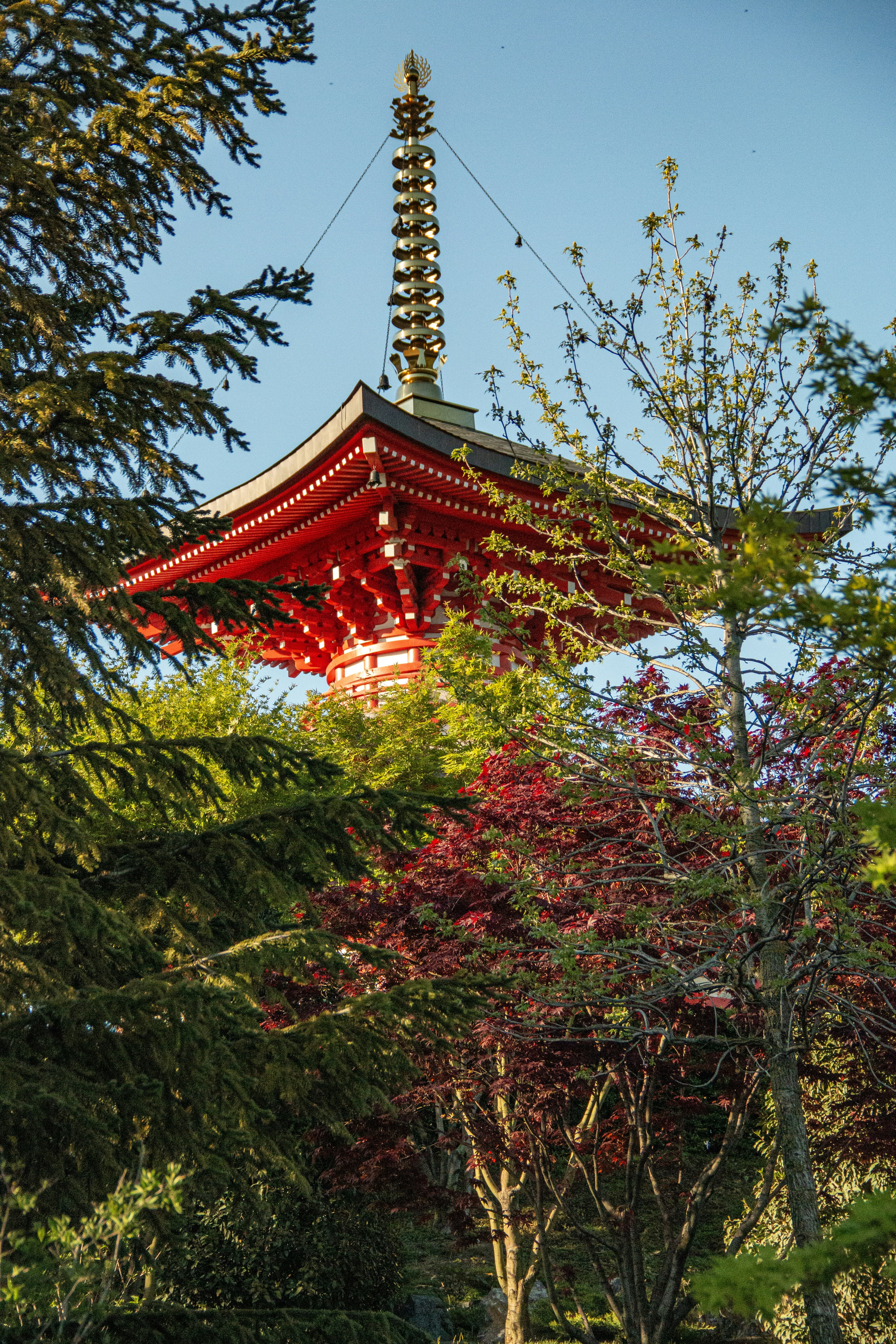 Photo by stepan_konev