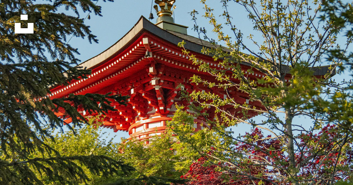 A red pagoda towers among the trees. photo – Free Image on Unsplash