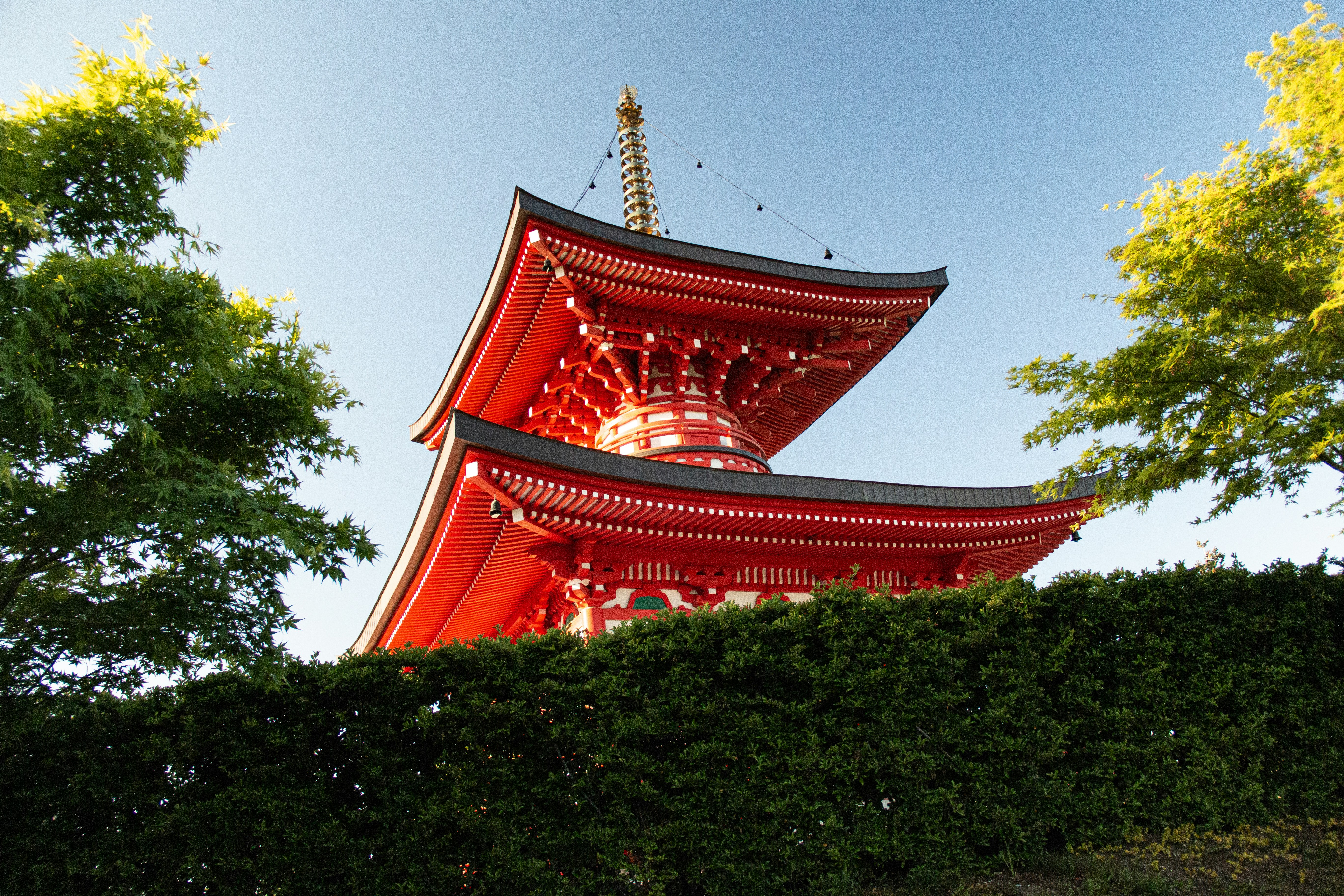 Photo by stepan_konev