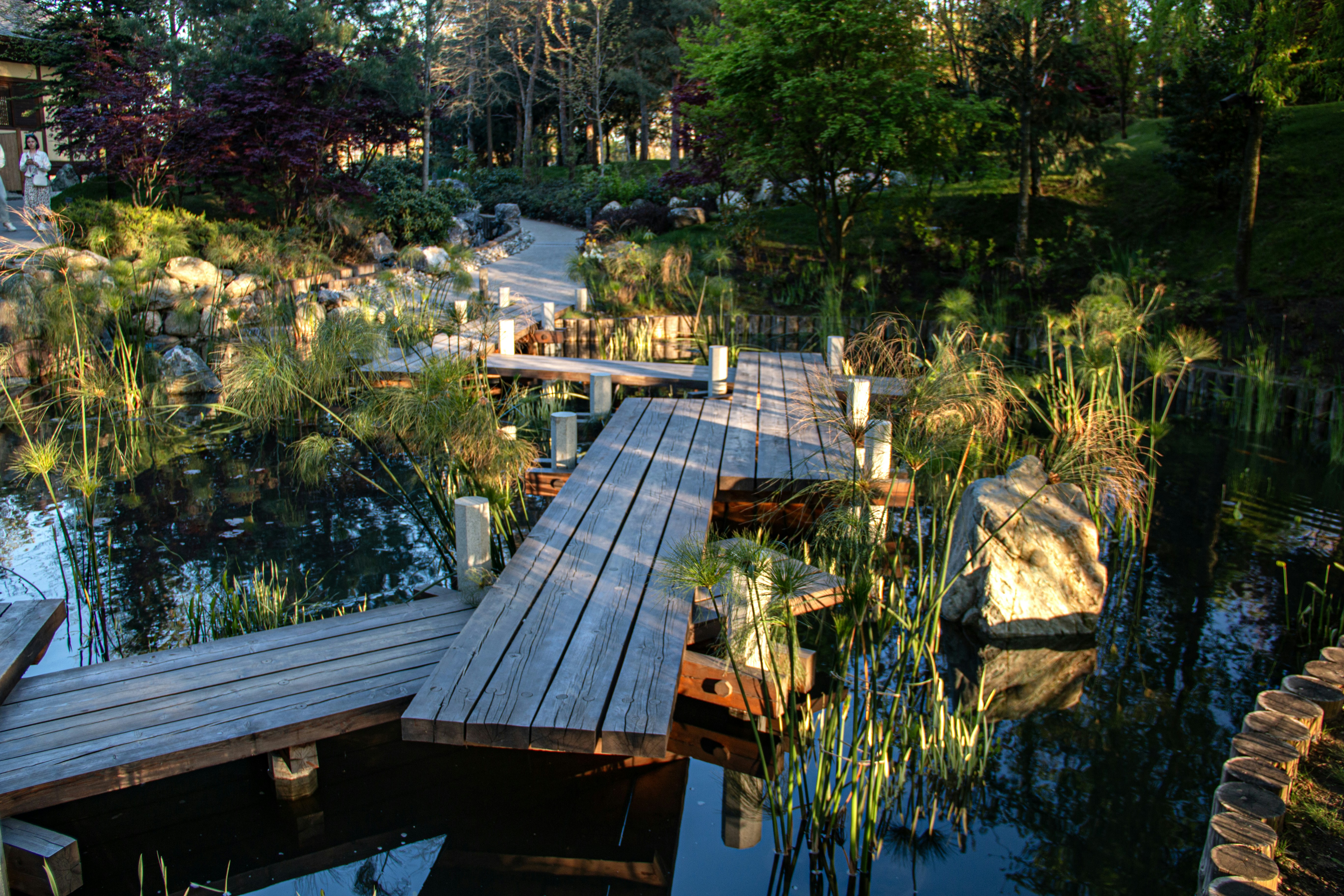 Photo by stepan_konev