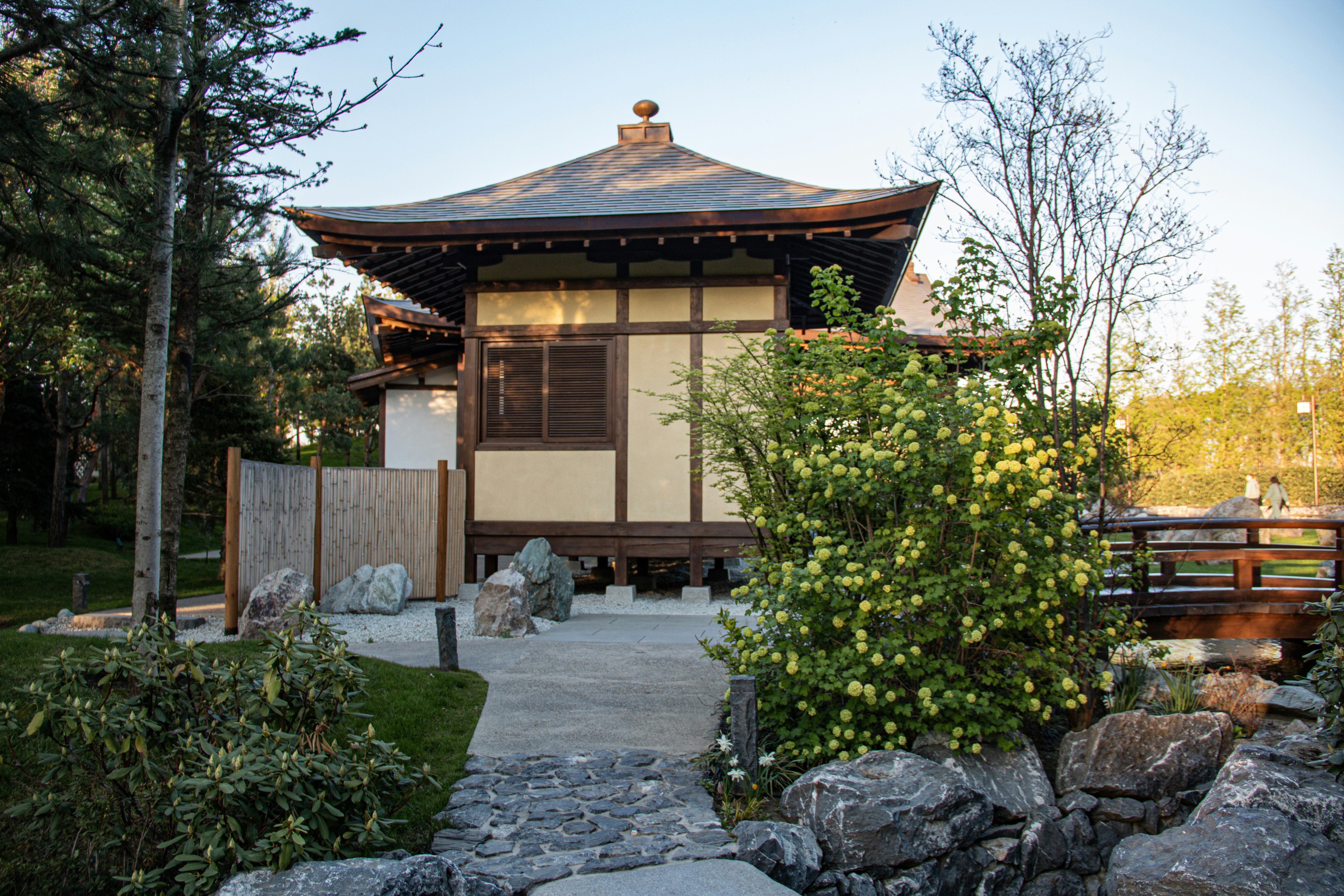 Photo by stepan_konev