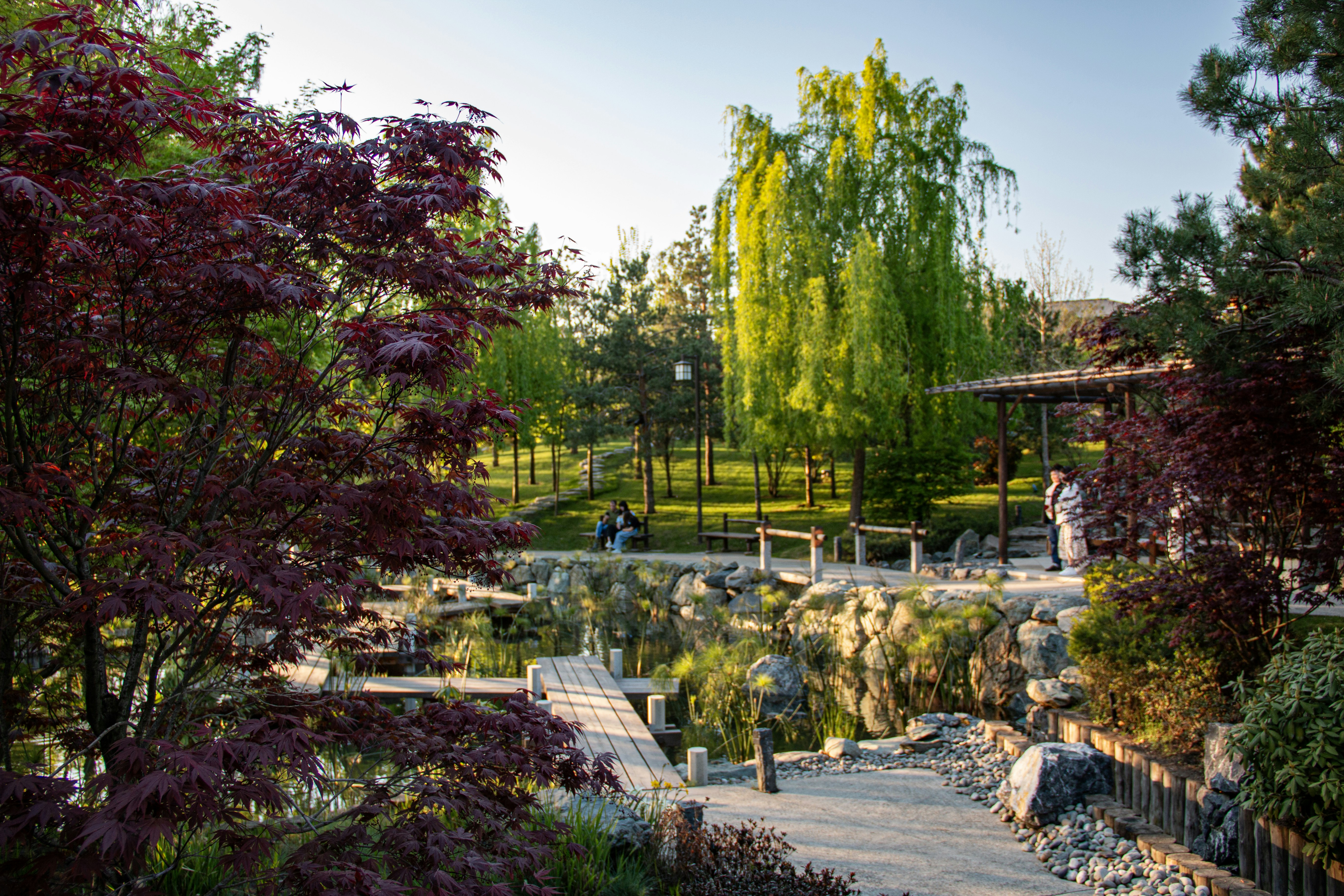 Photo by stepan_konev