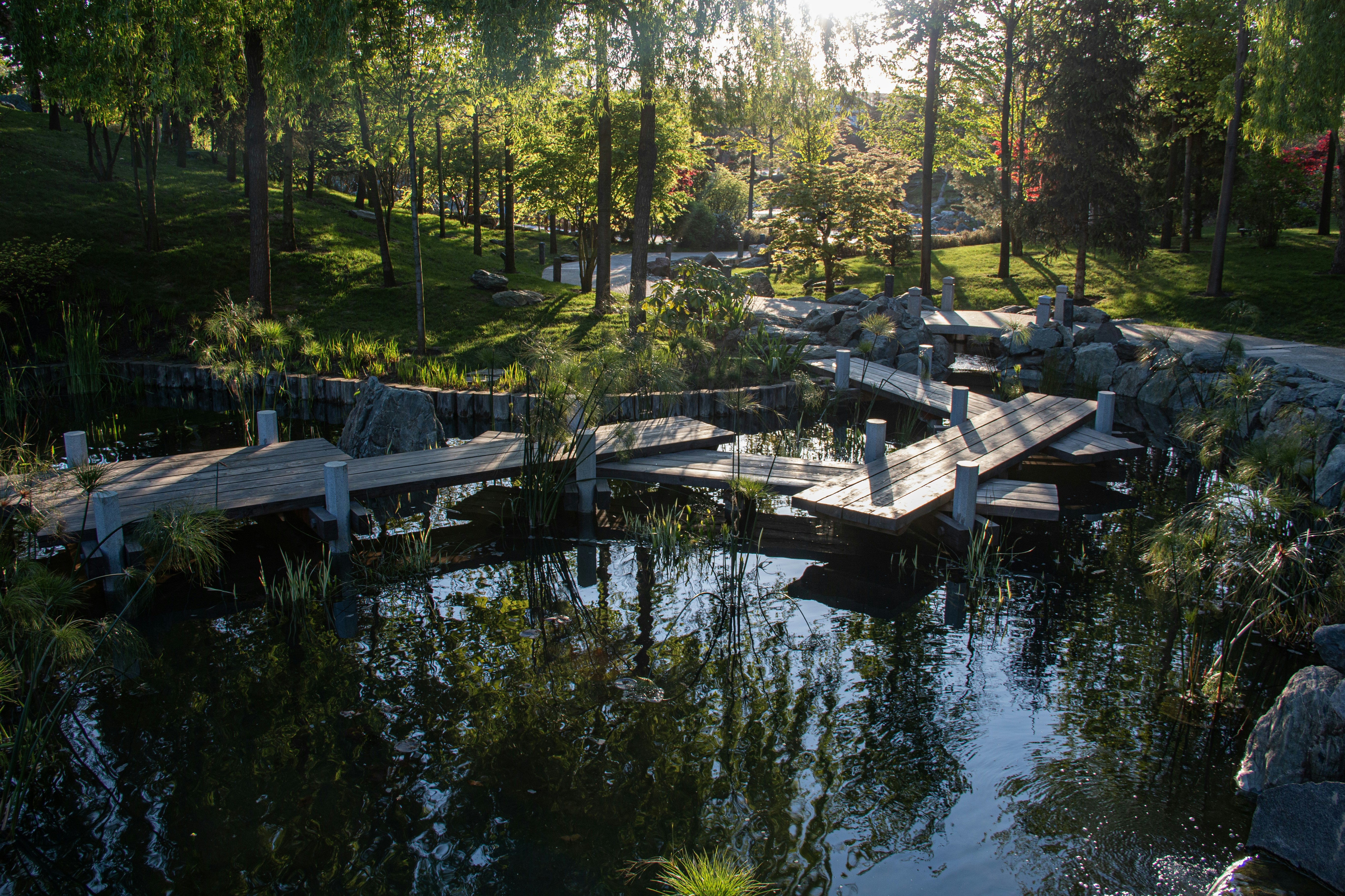 Photo by stepan_konev