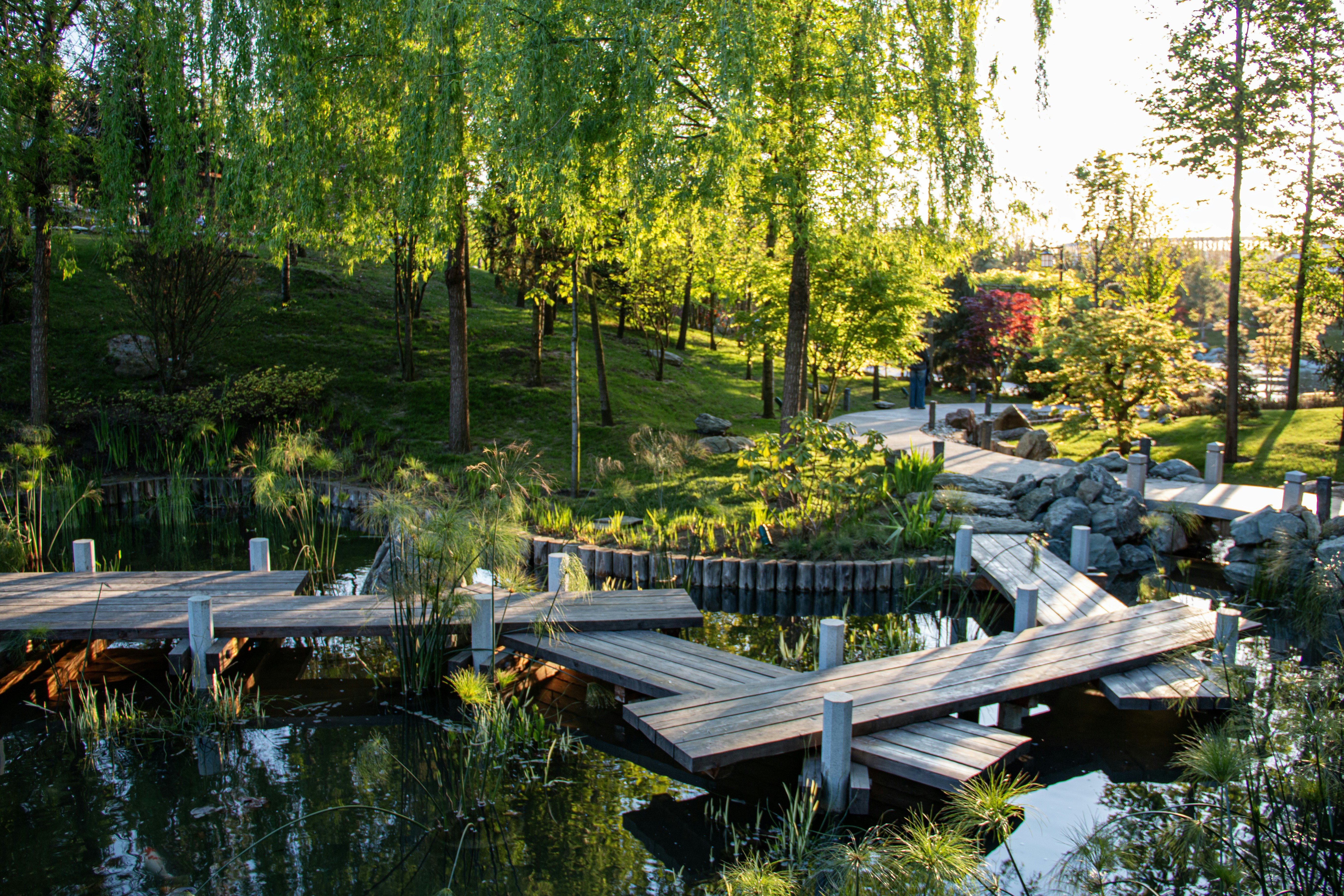 Photo by stepan_konev