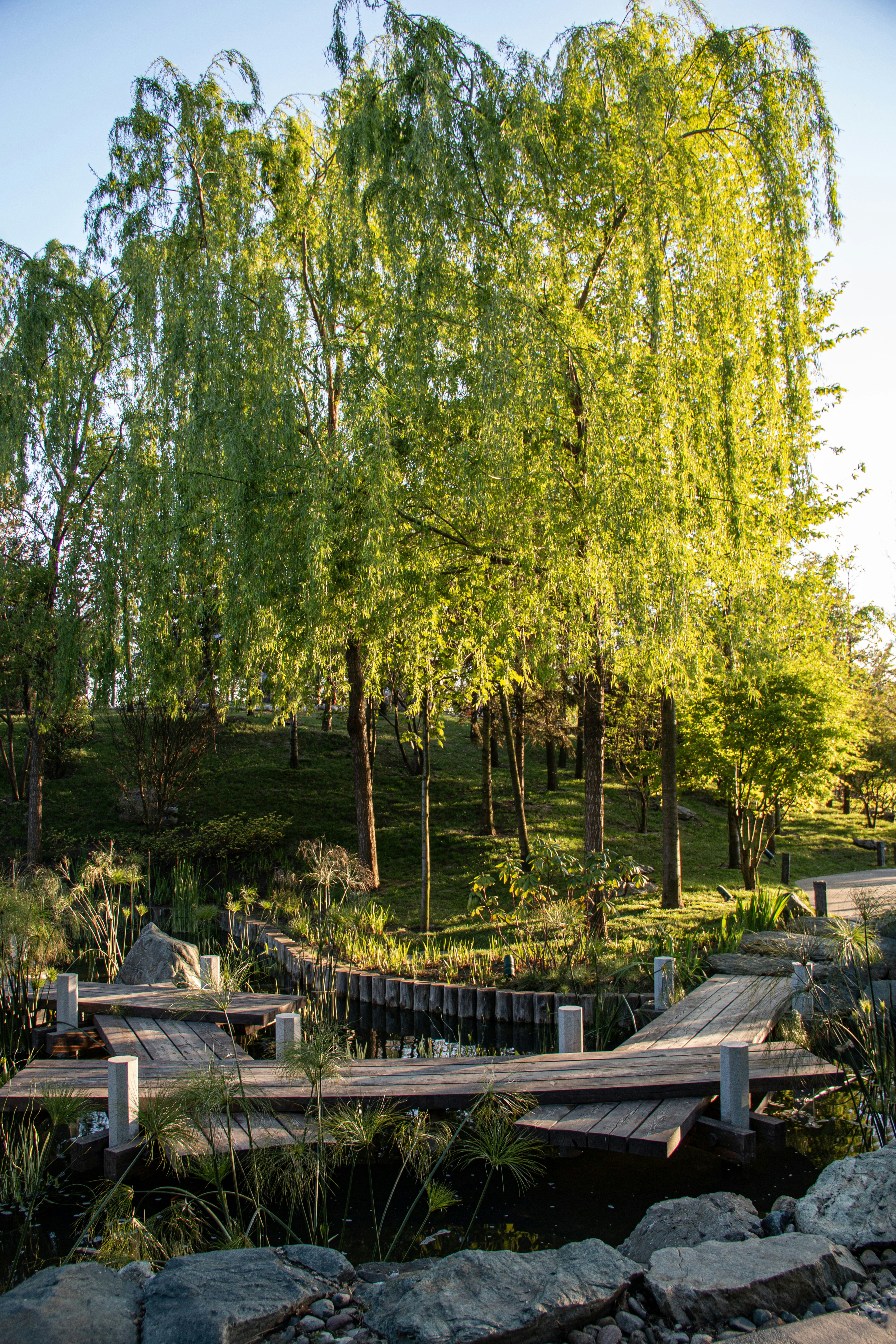 Photo by stepan_konev