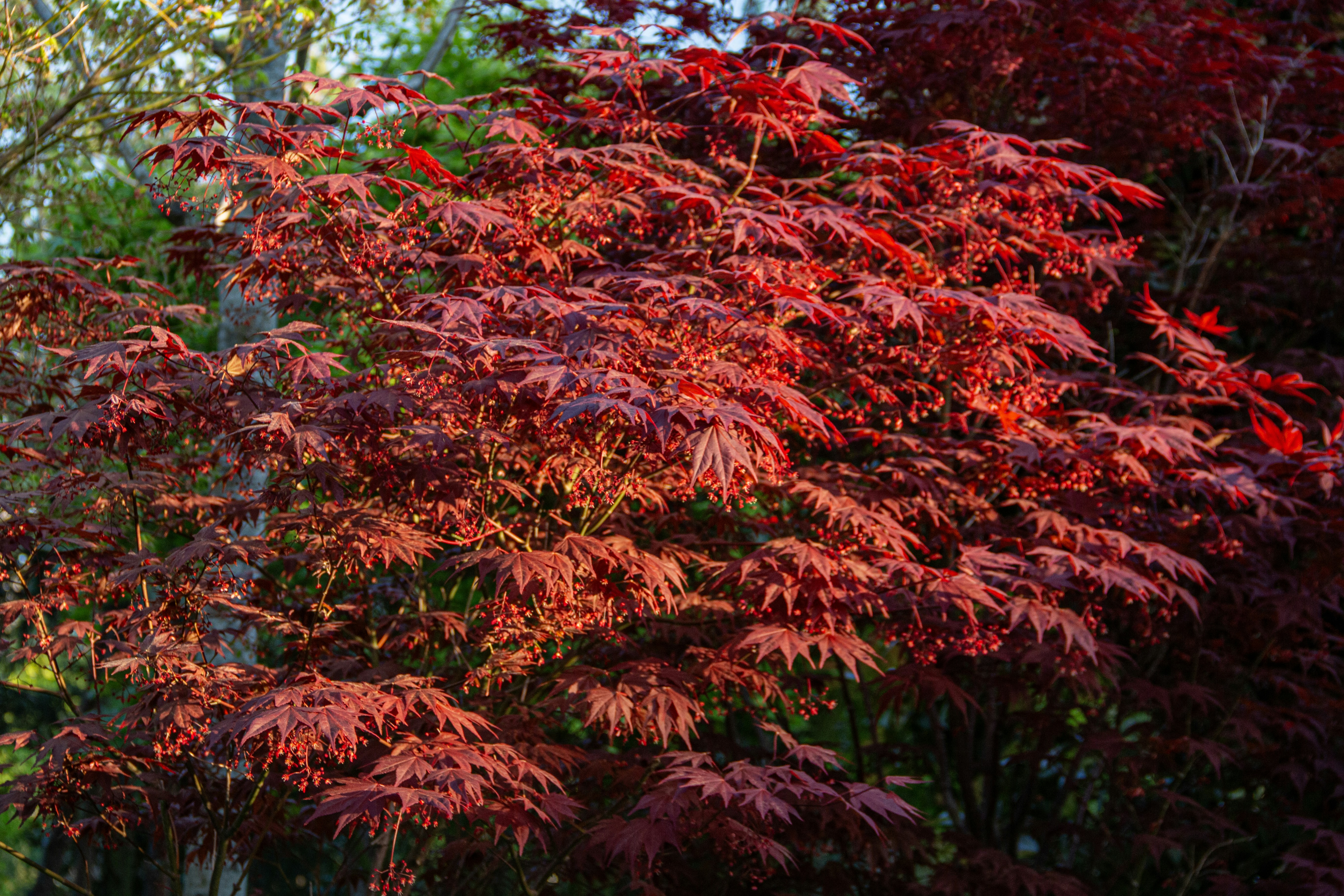 Photo by stepan_konev