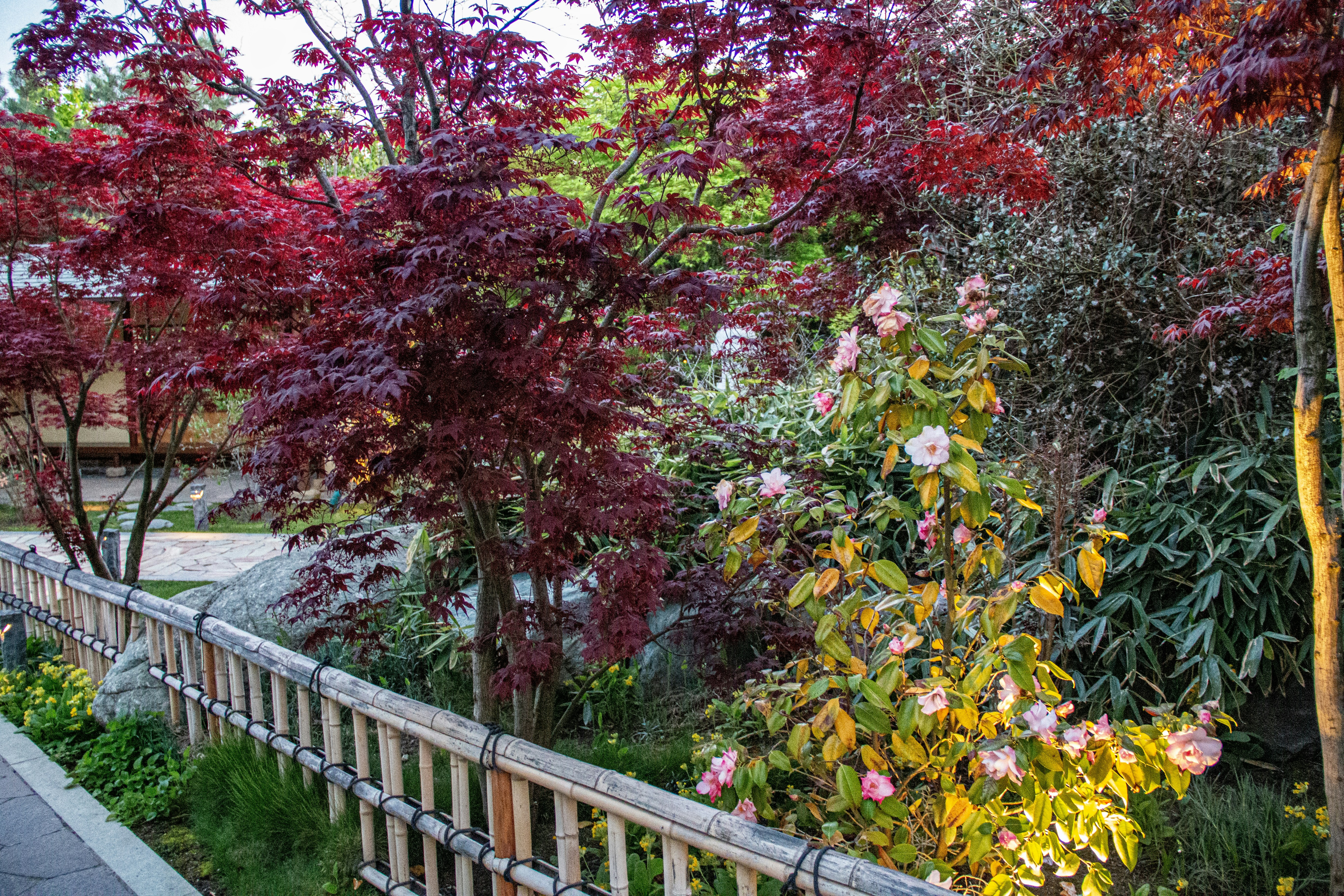 Photo by stepan_konev