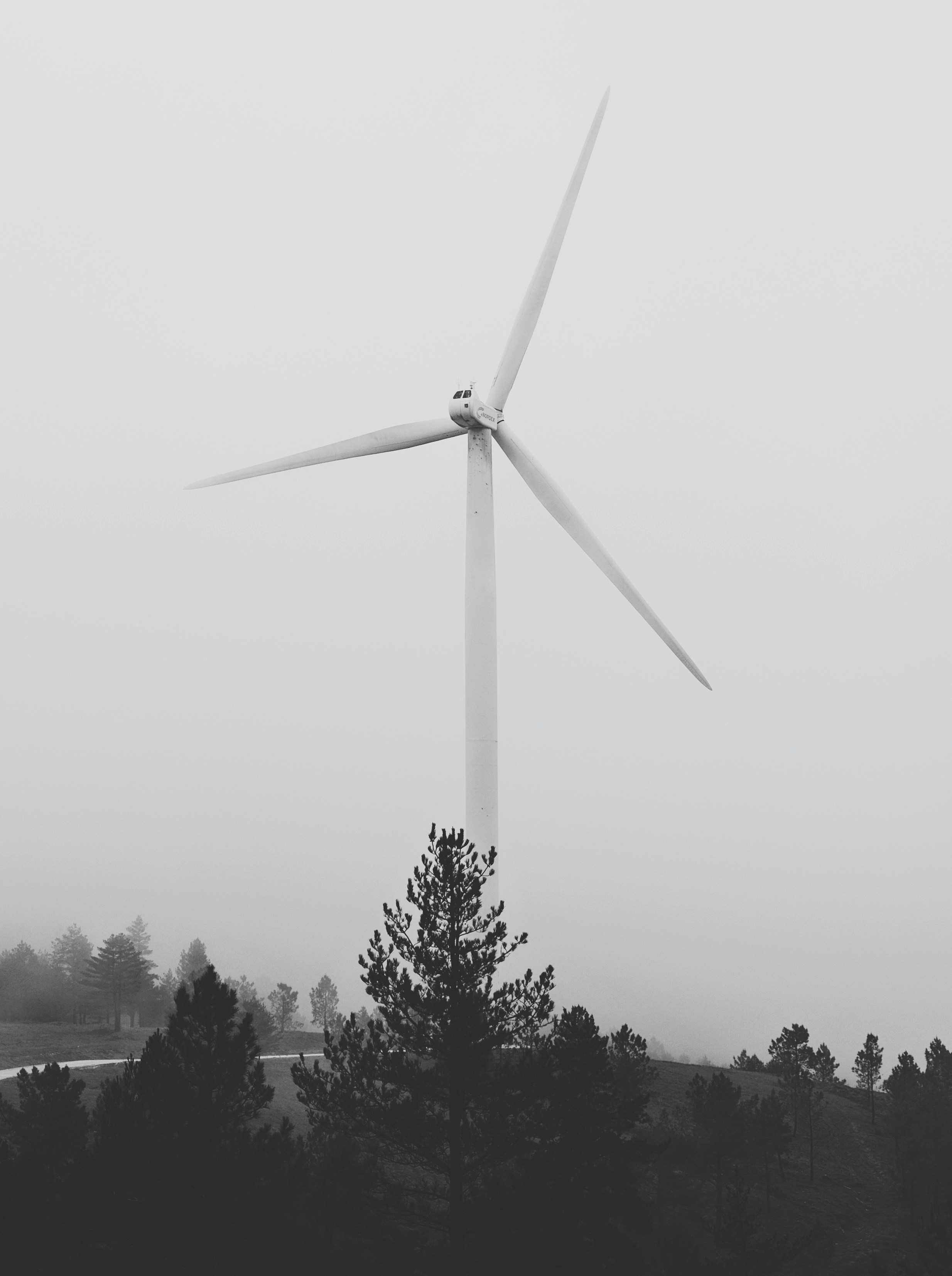 Photo by weylandswart