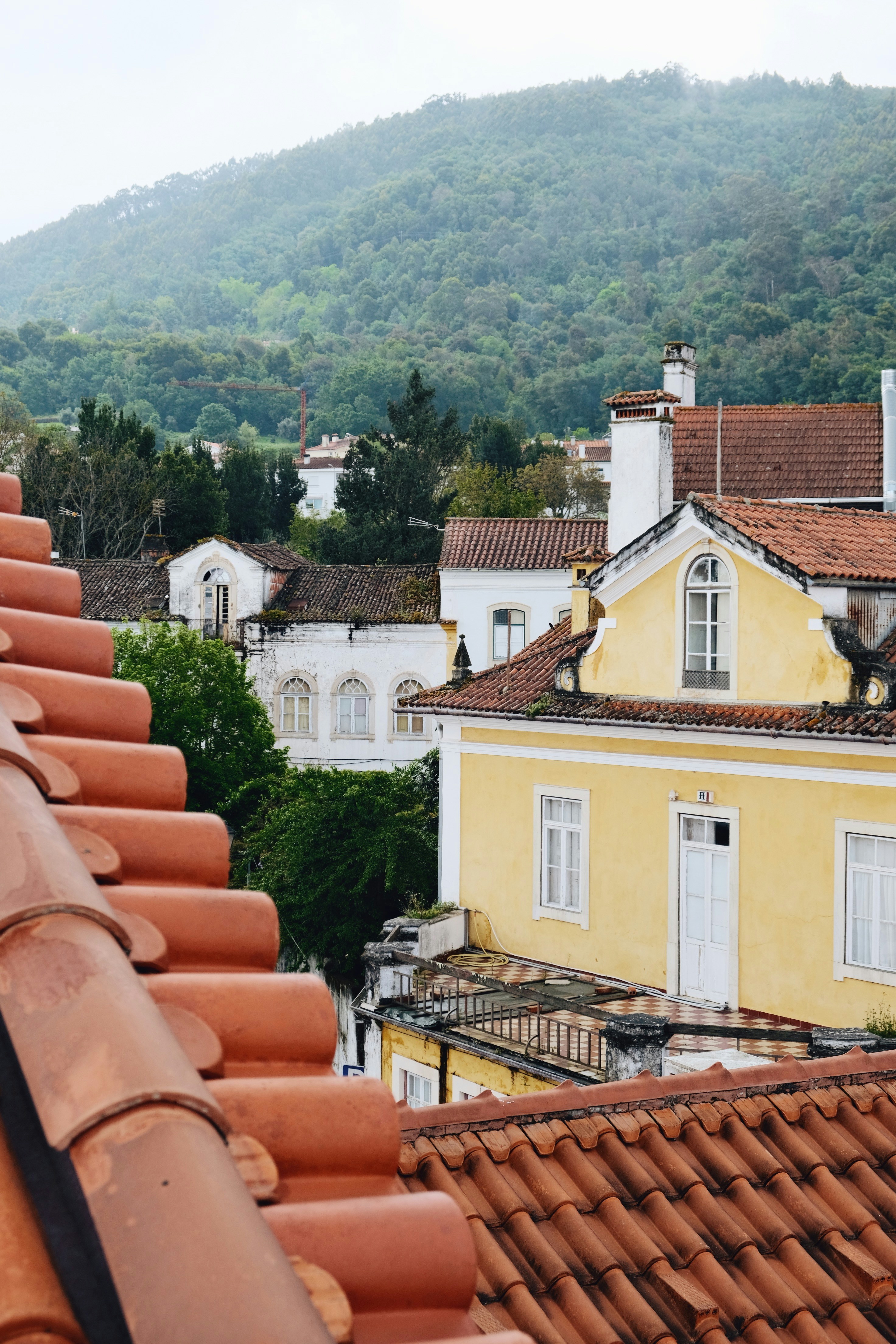 Roofs and buildings nestle under a green mountain.