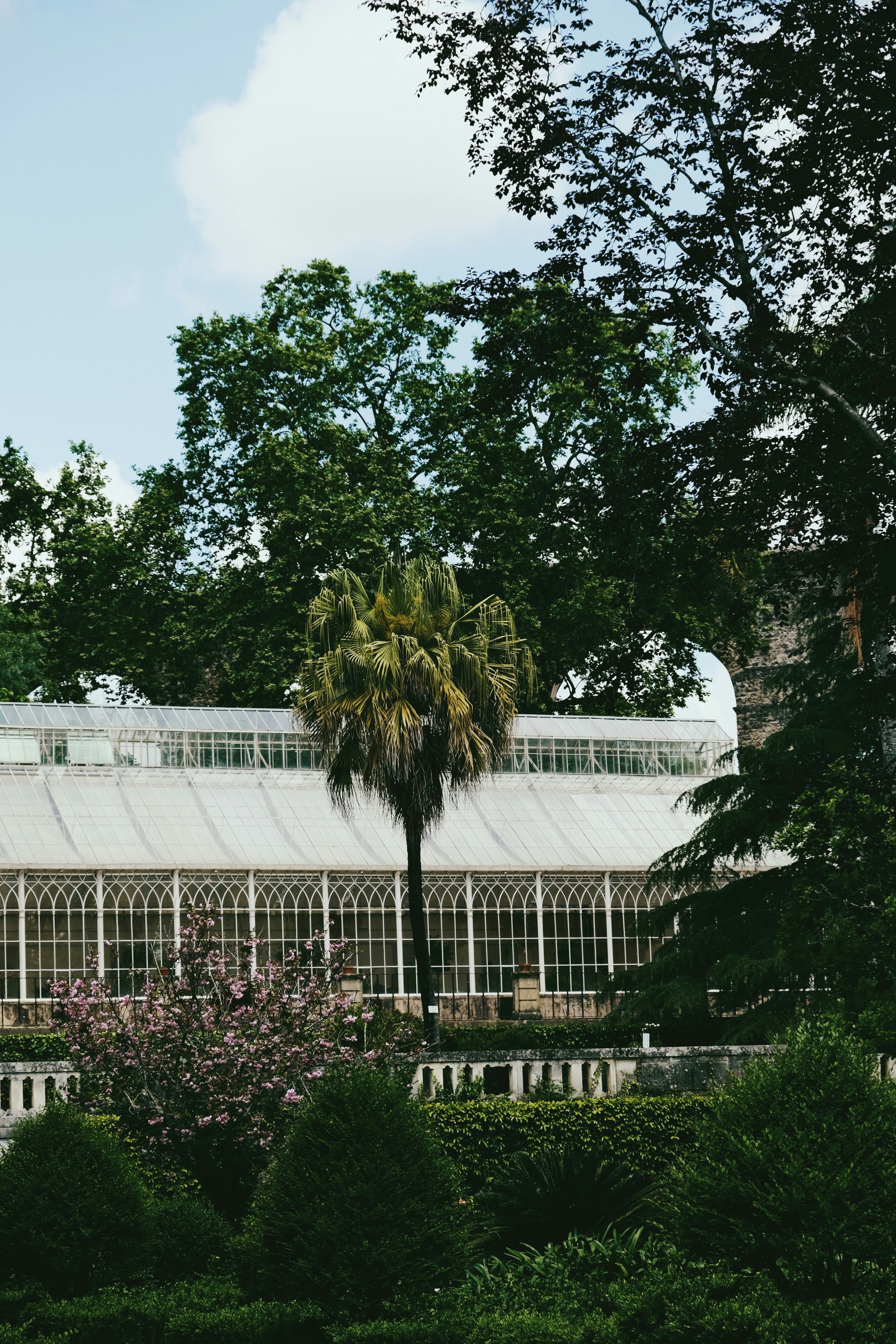 Photo by weylandswart