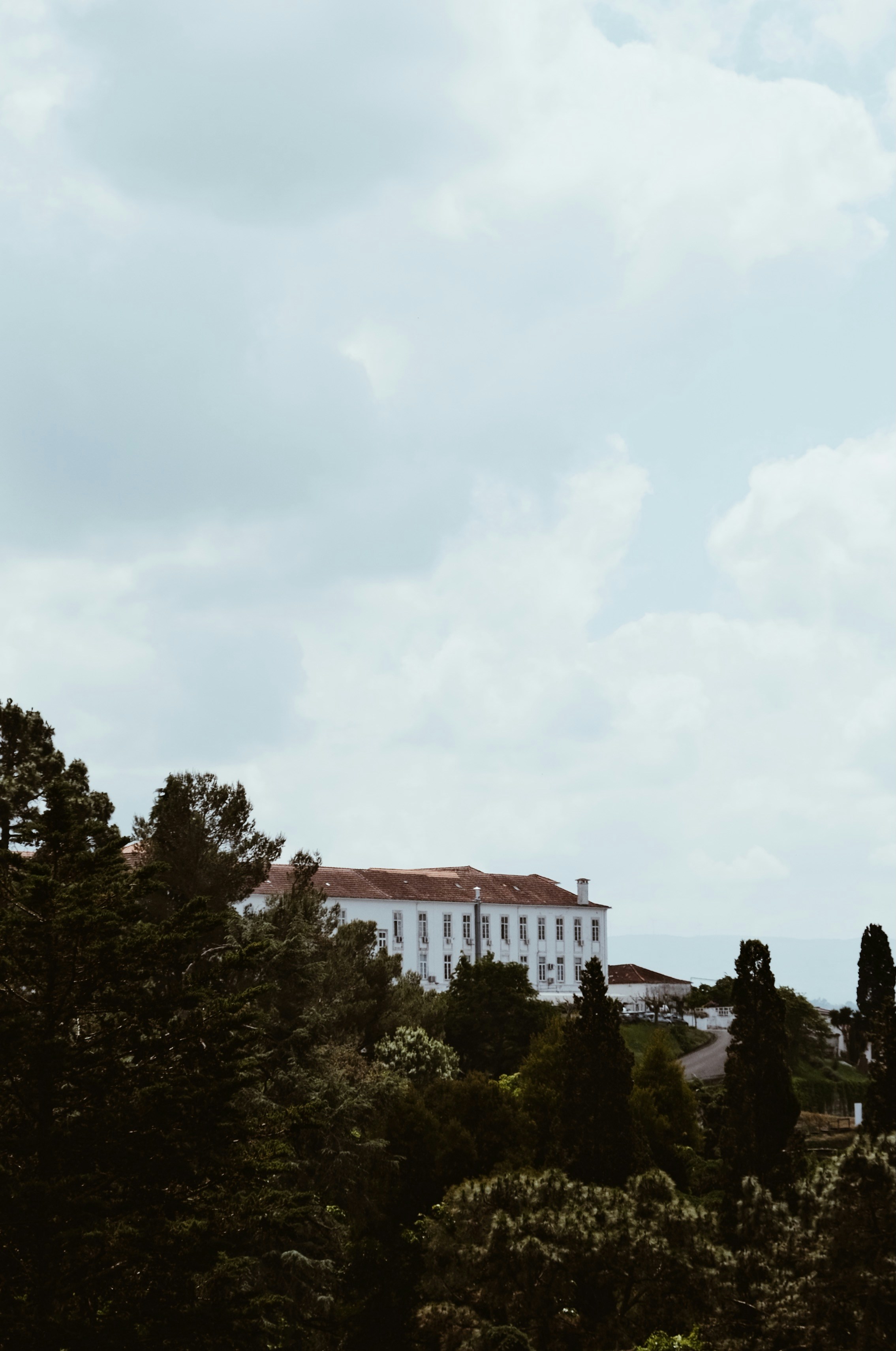 Photo by weylandswart