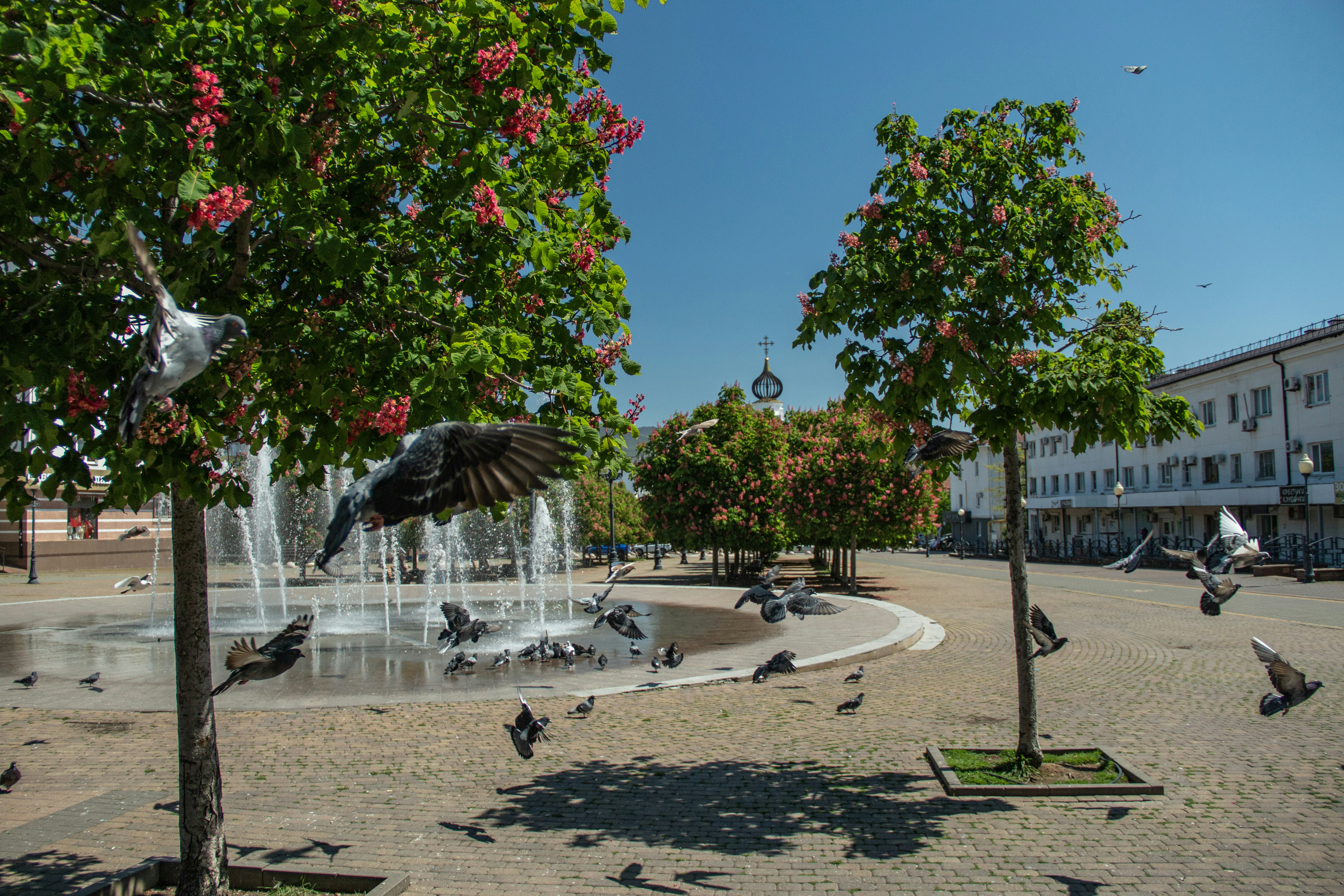 Photo by stepan_konev