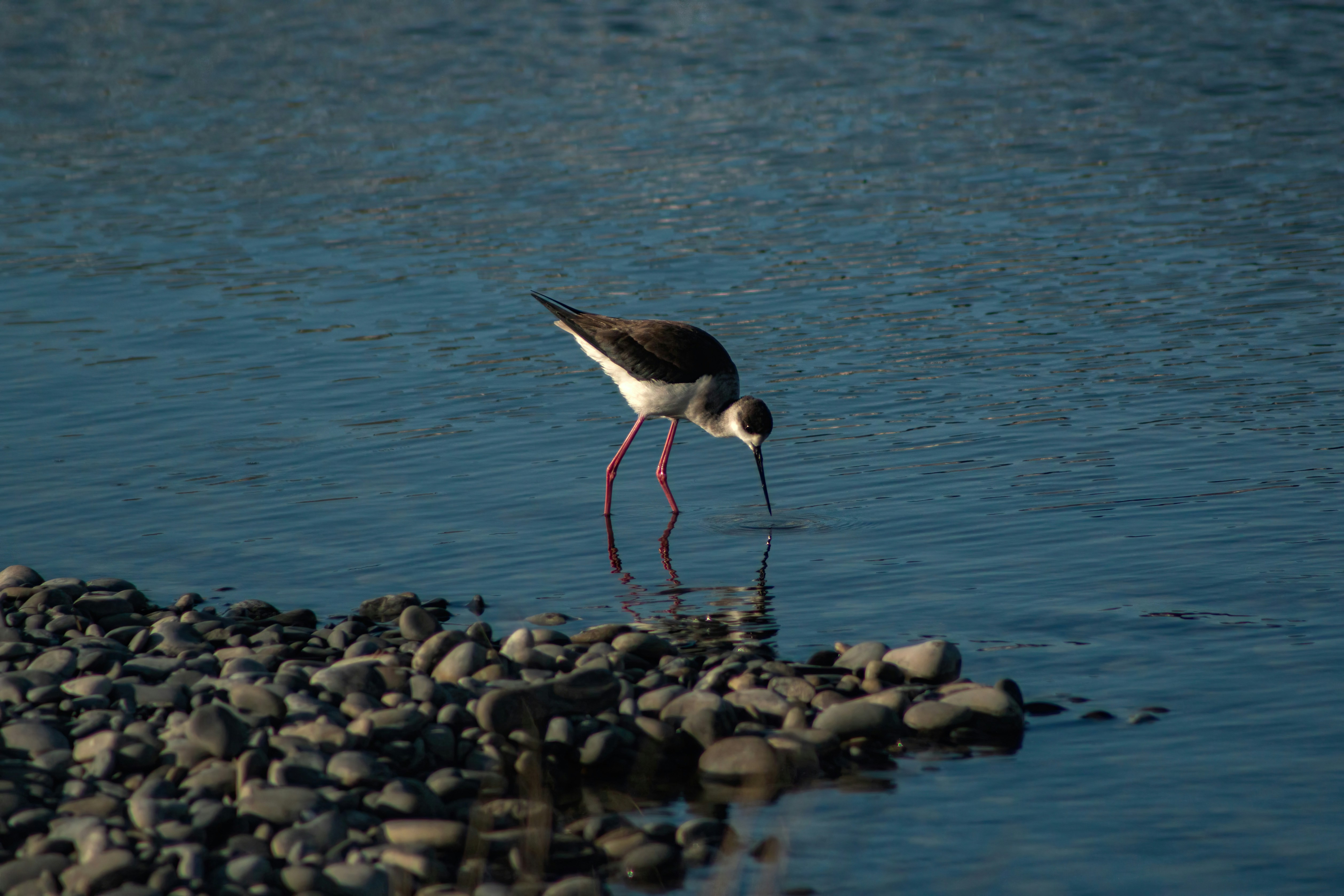 Photo by stepan_konev