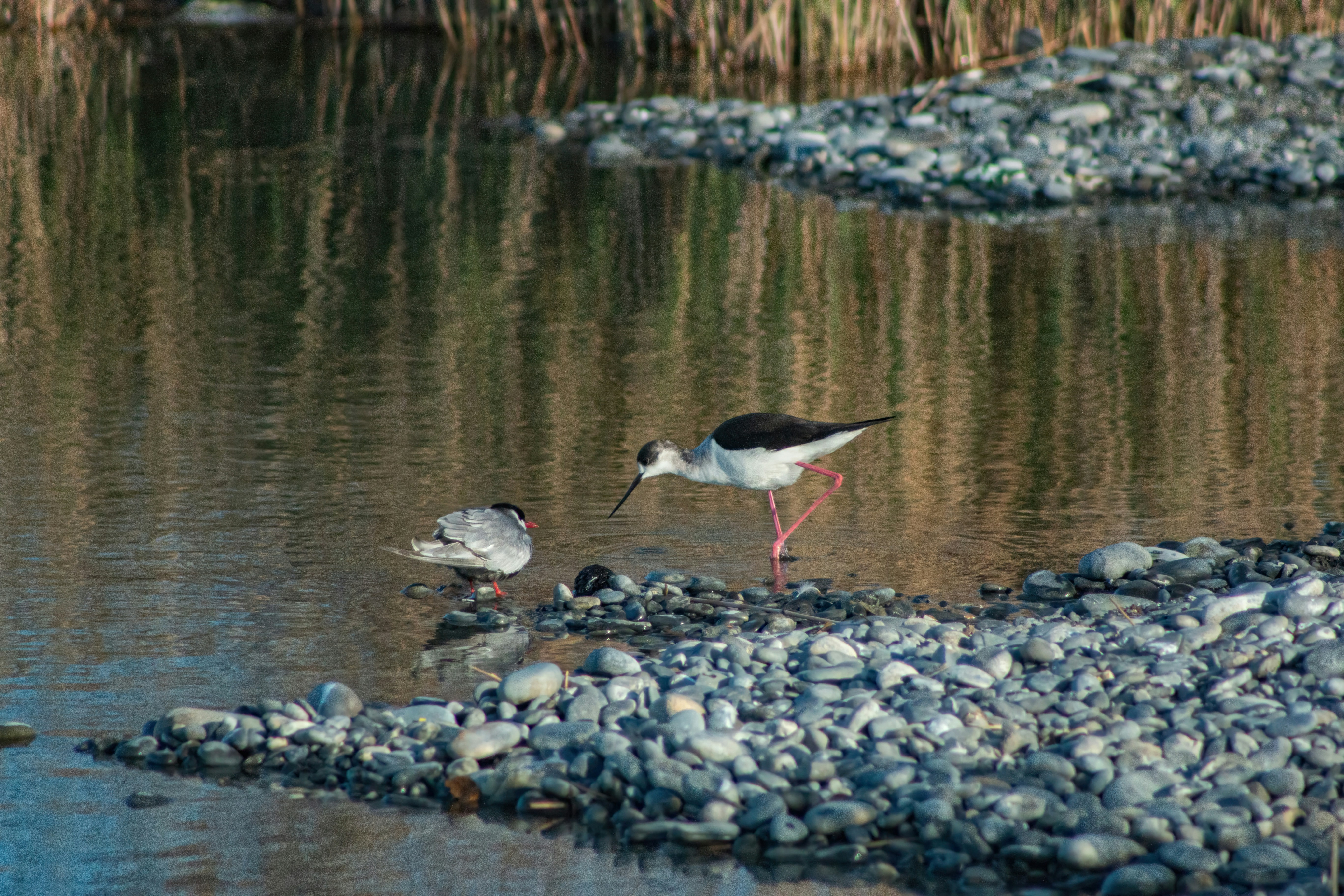 Photo by stepan_konev