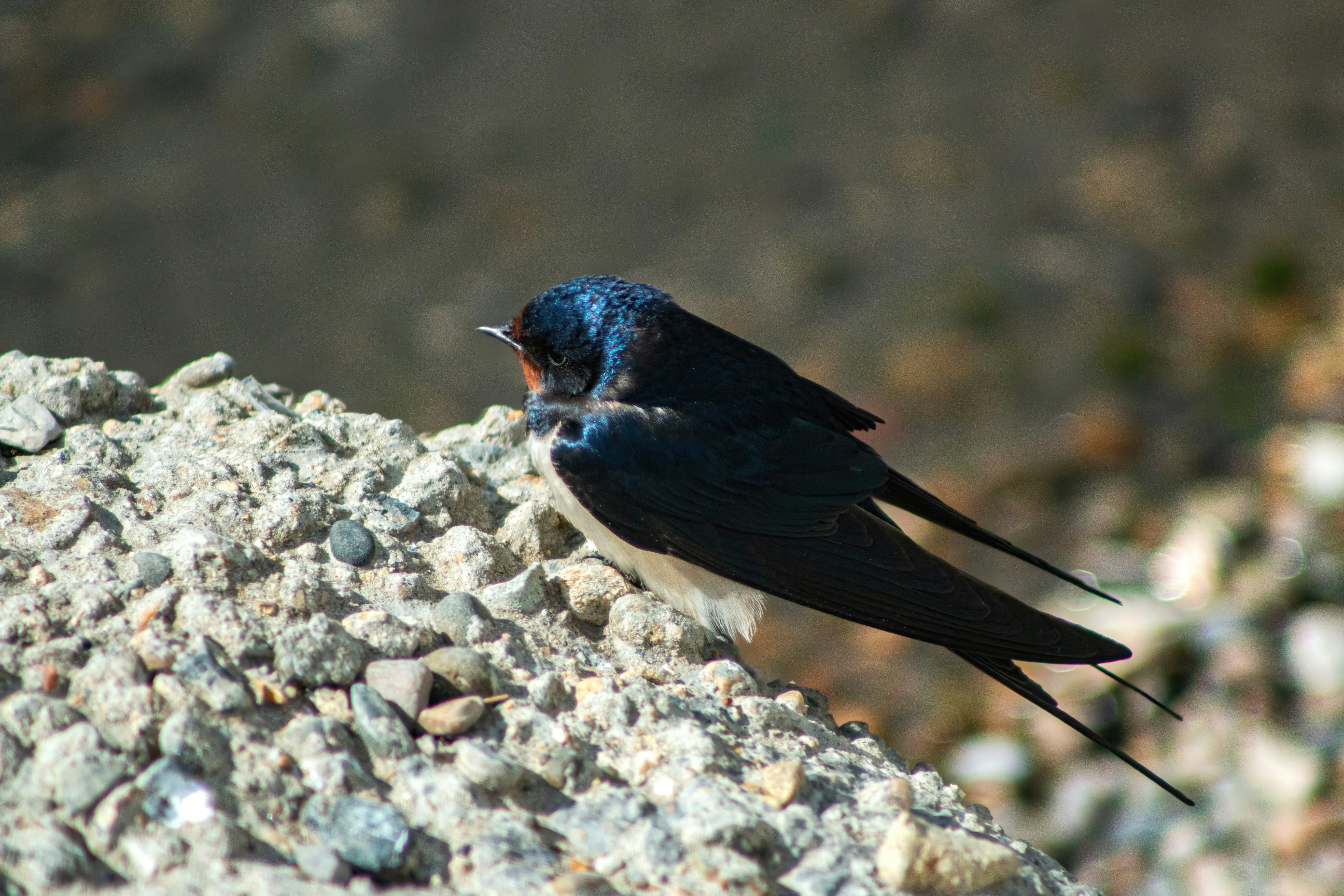 Photo by stepan_konev