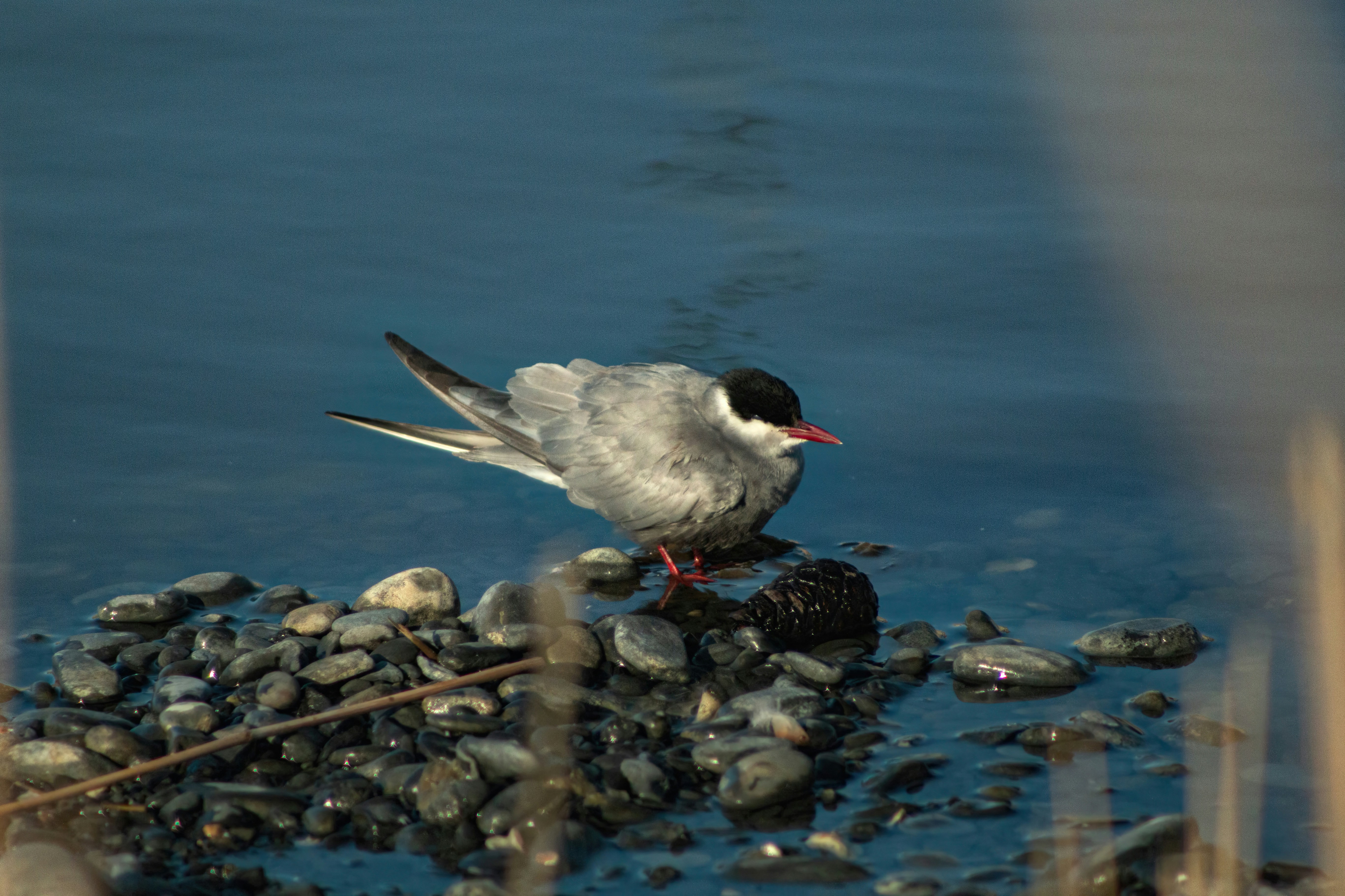 Photo by stepan_konev