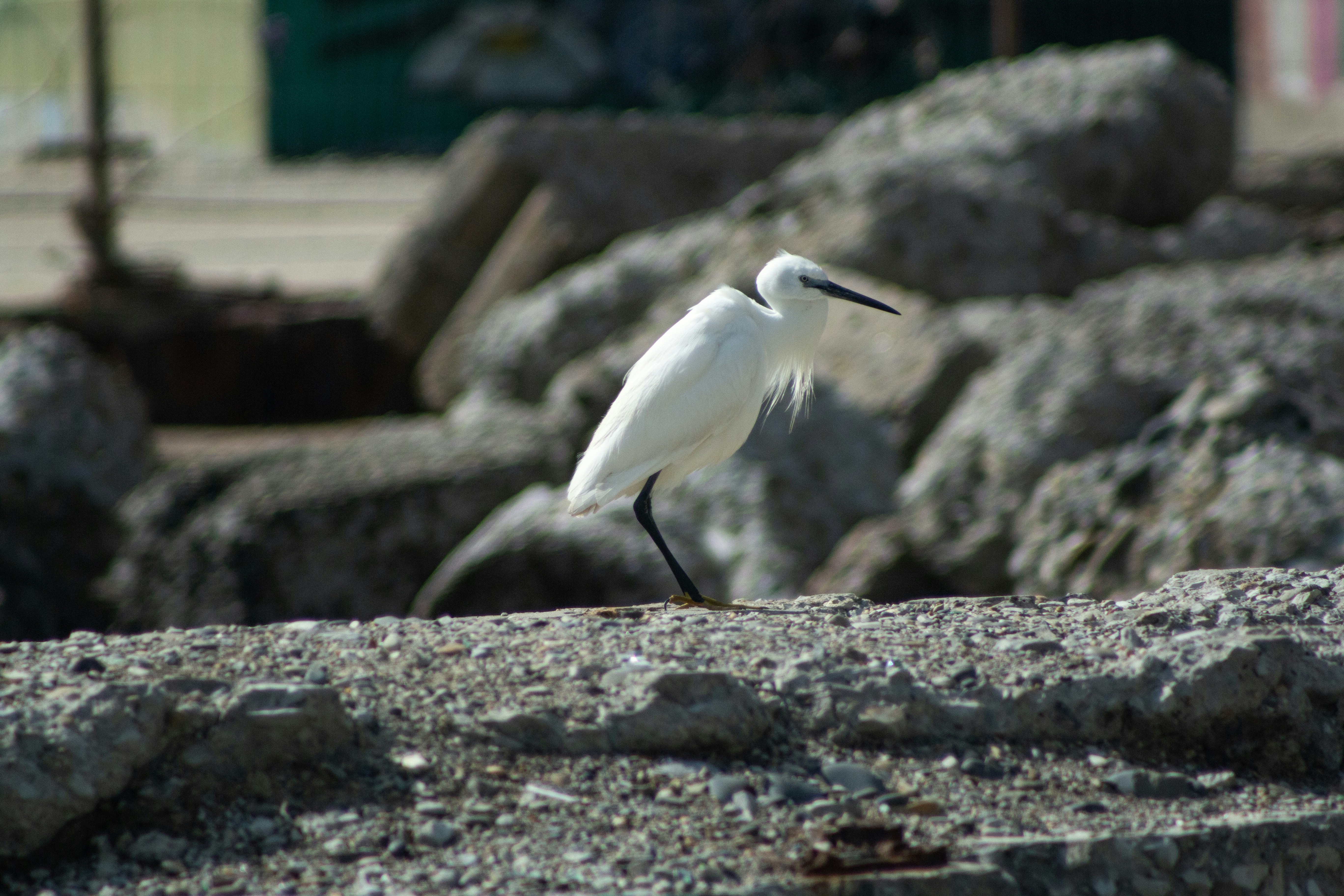 Photo by stepan_konev