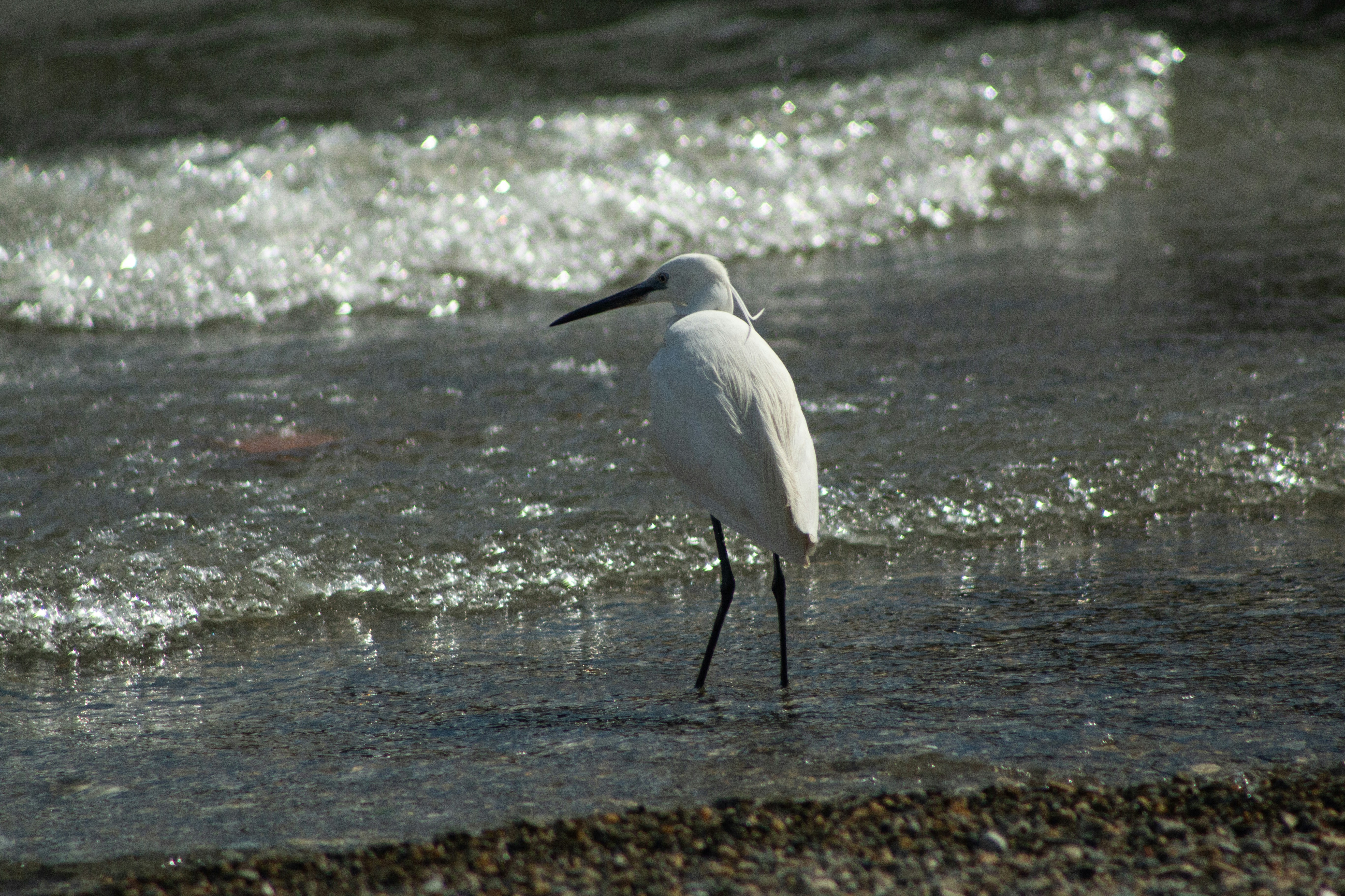 Photo by stepan_konev