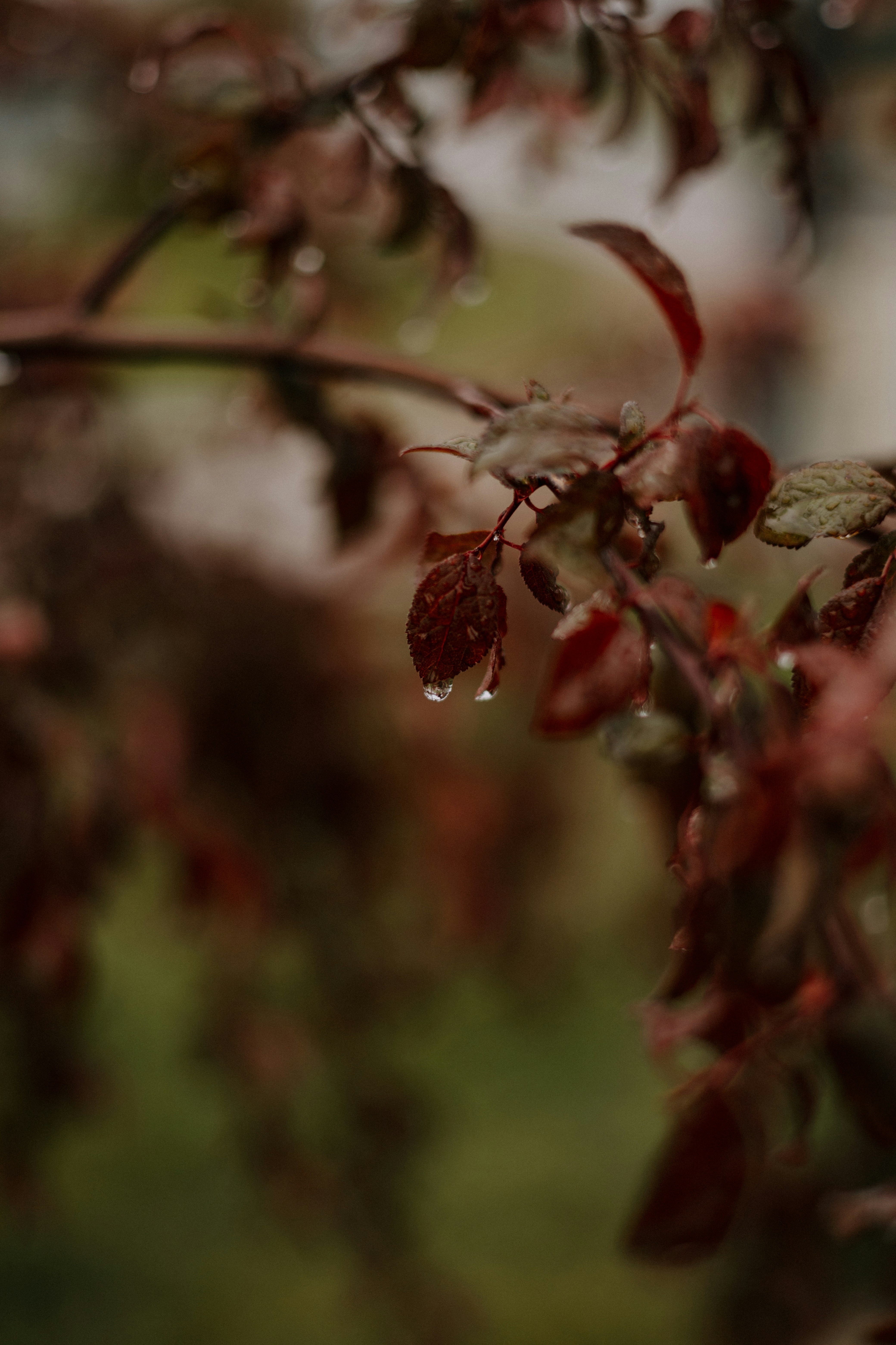 Photo by elijahp