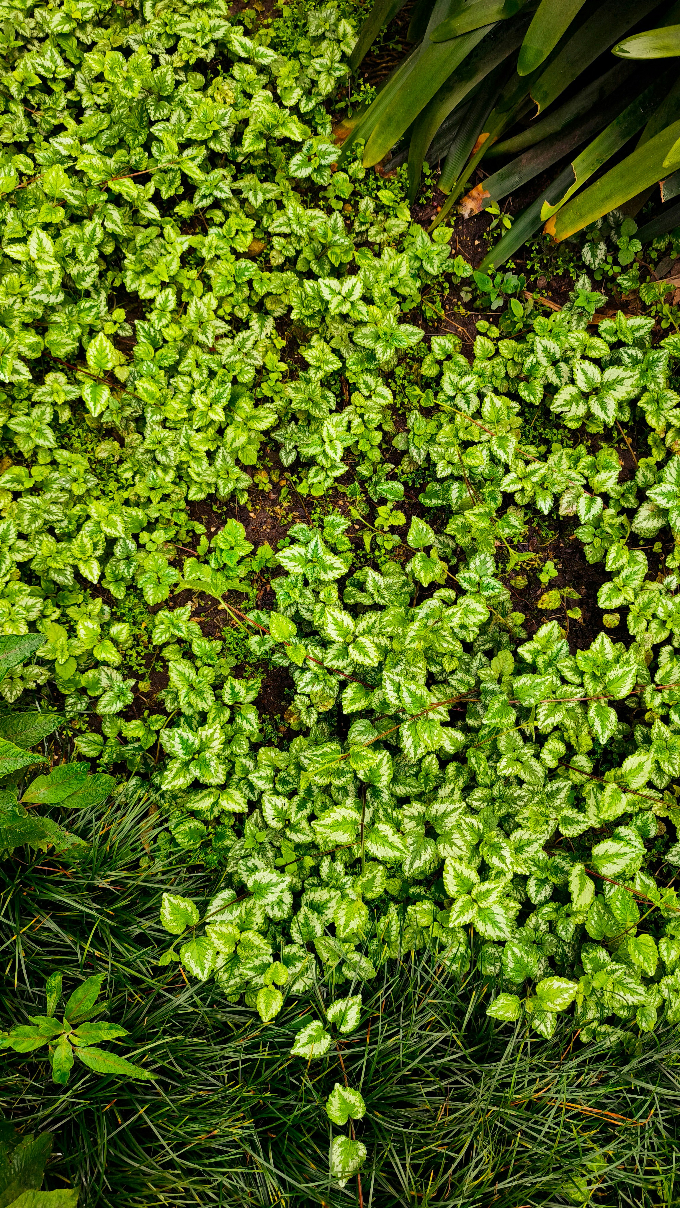 Photo by filipenobre