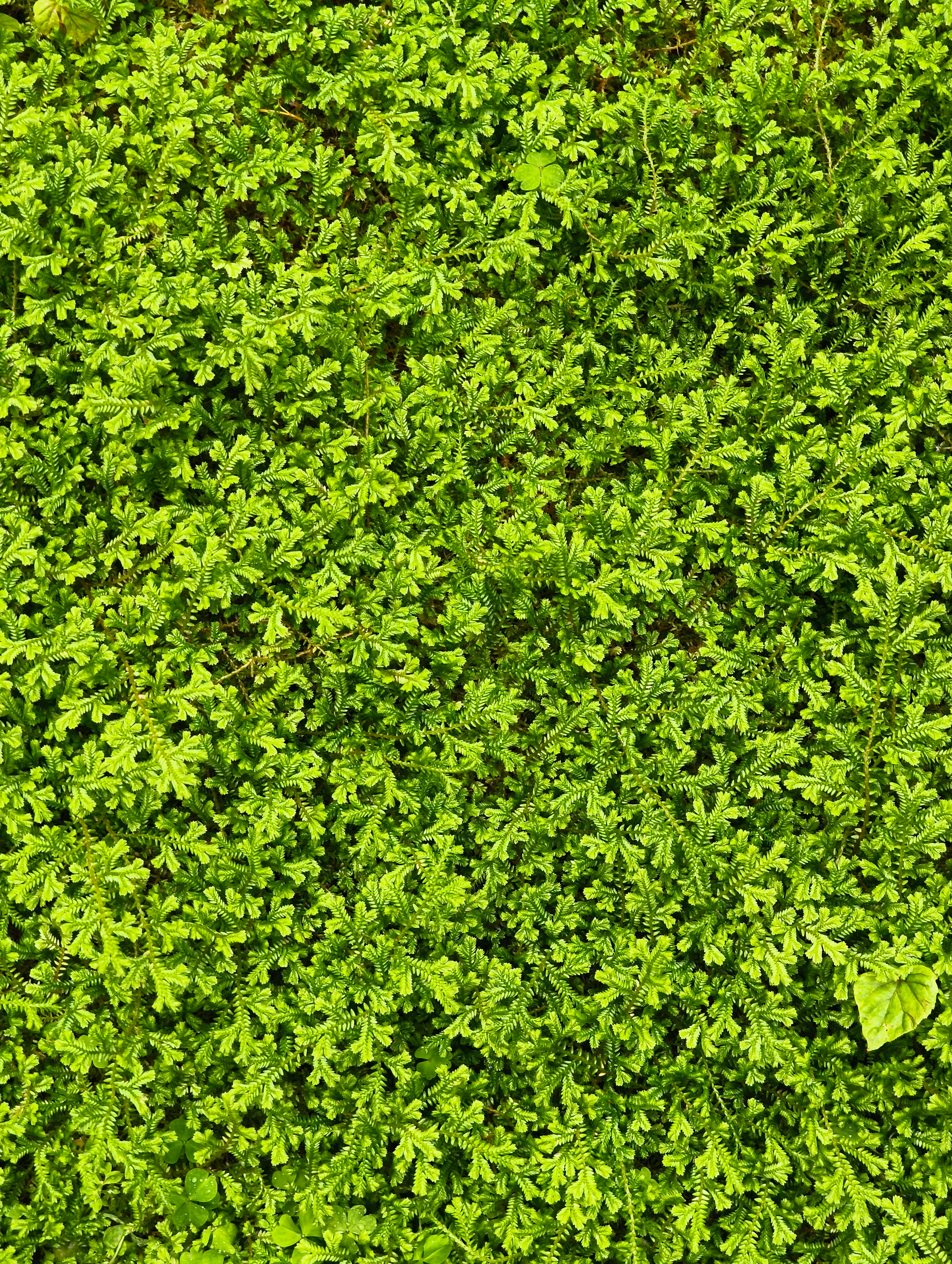 Photo by filipenobre