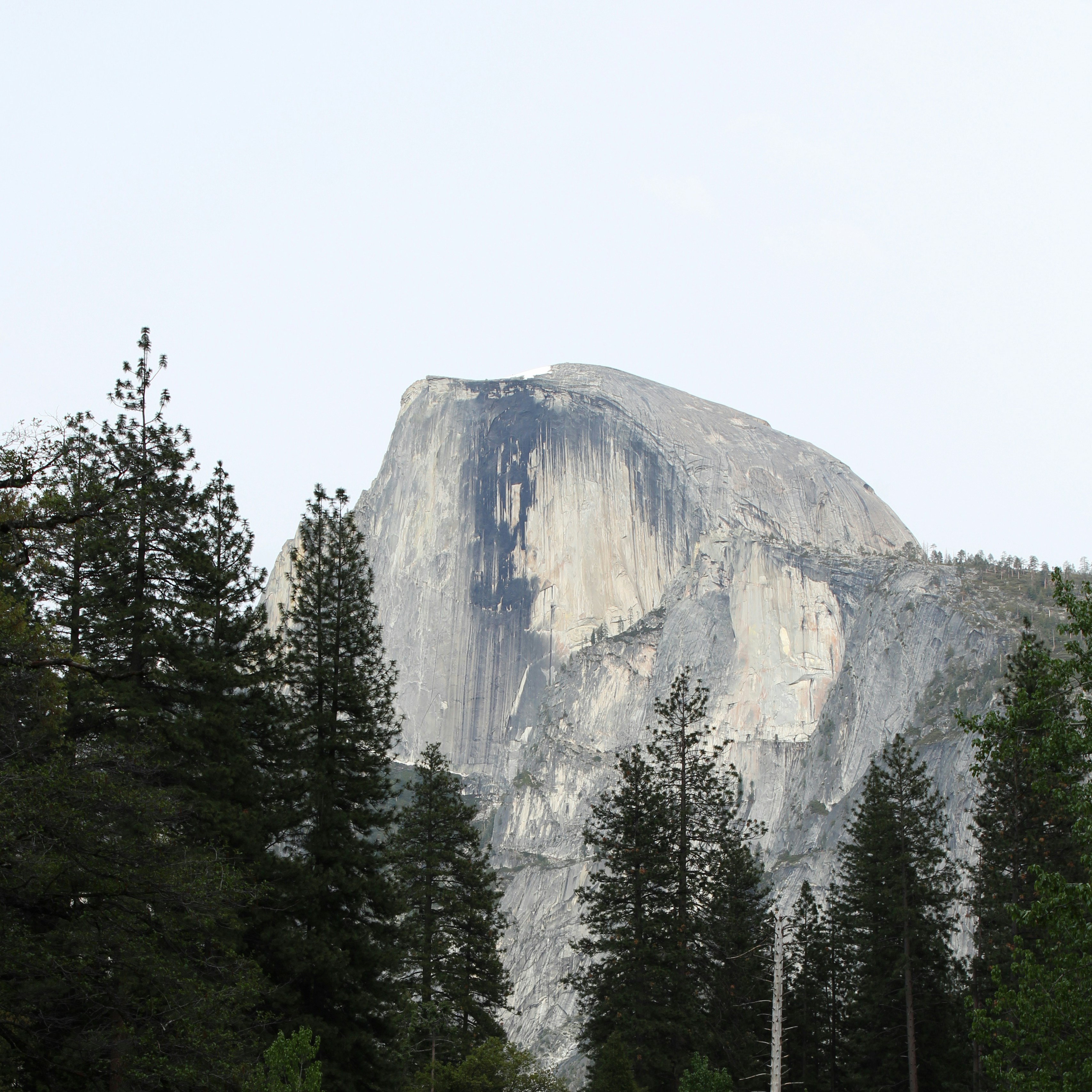 Photo by seymourtseng