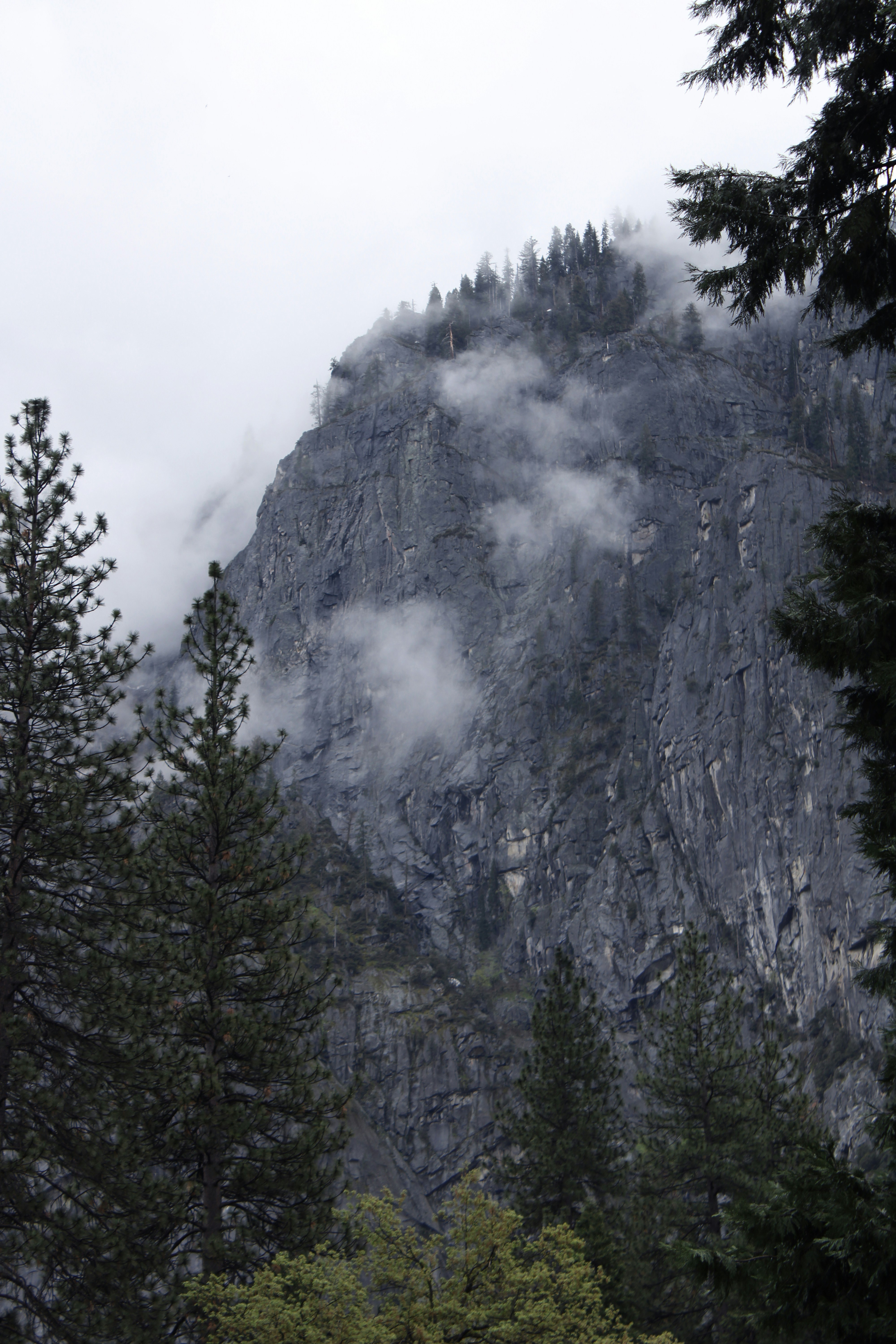 Photo by seymourtseng