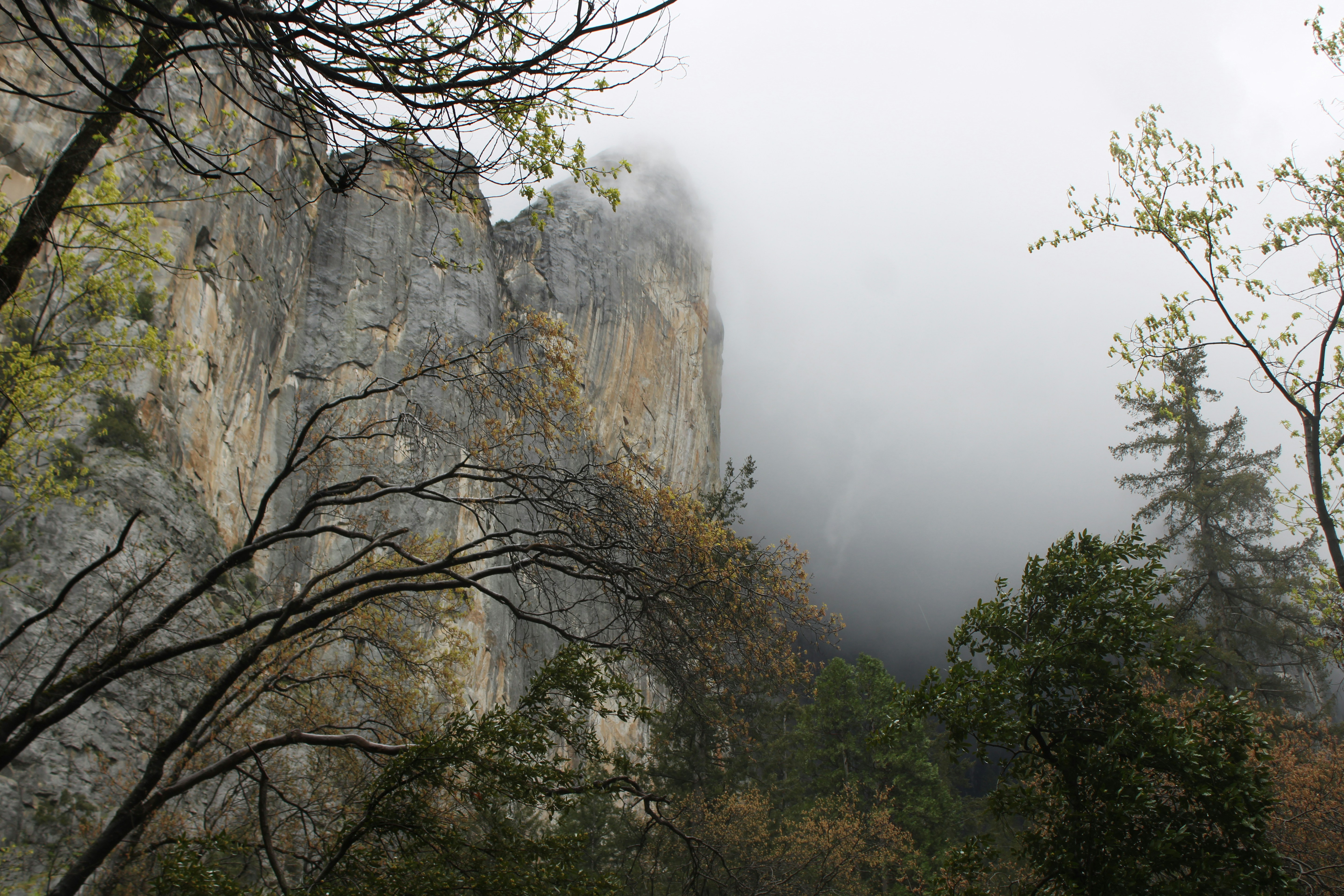 Photo by seymourtseng