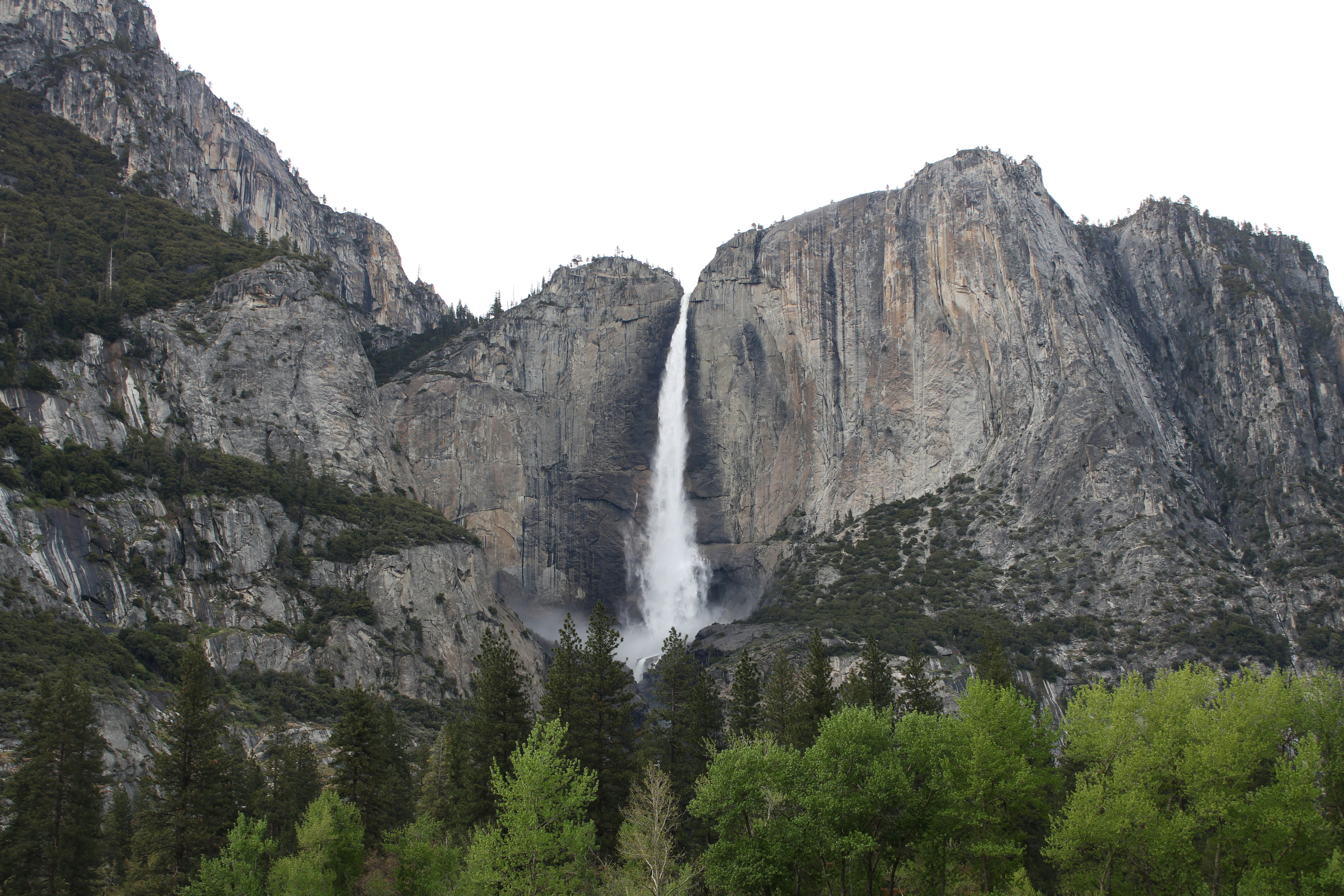 Photo by seymourtseng