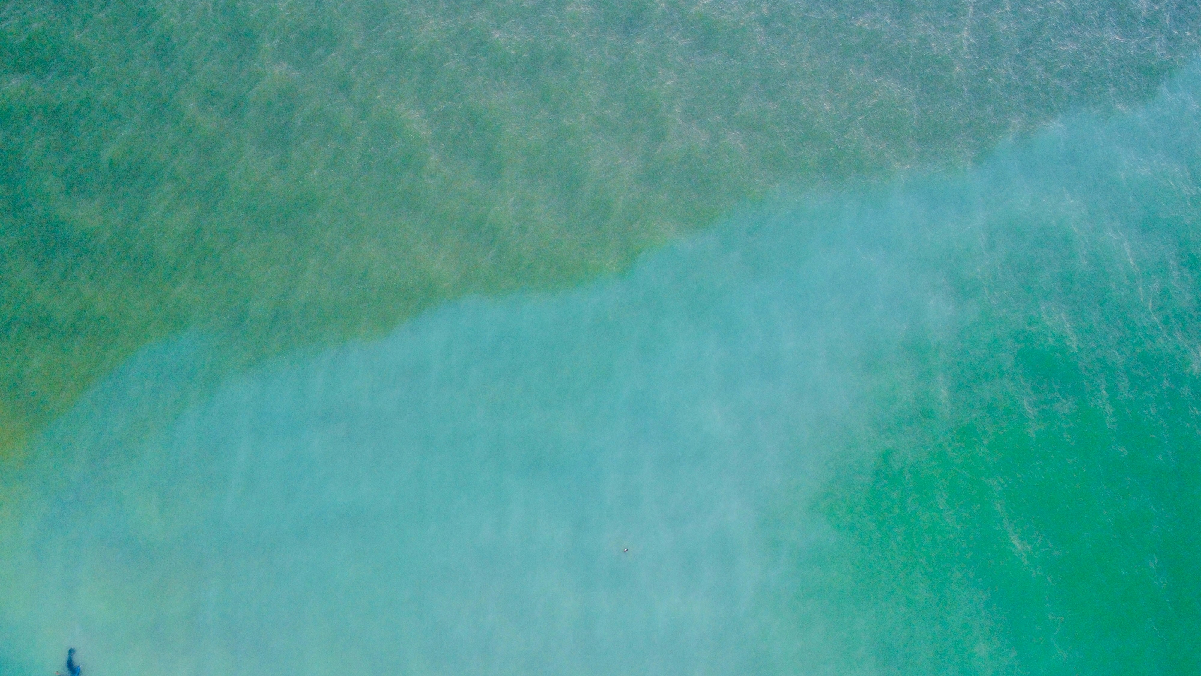 Photo by christheisland