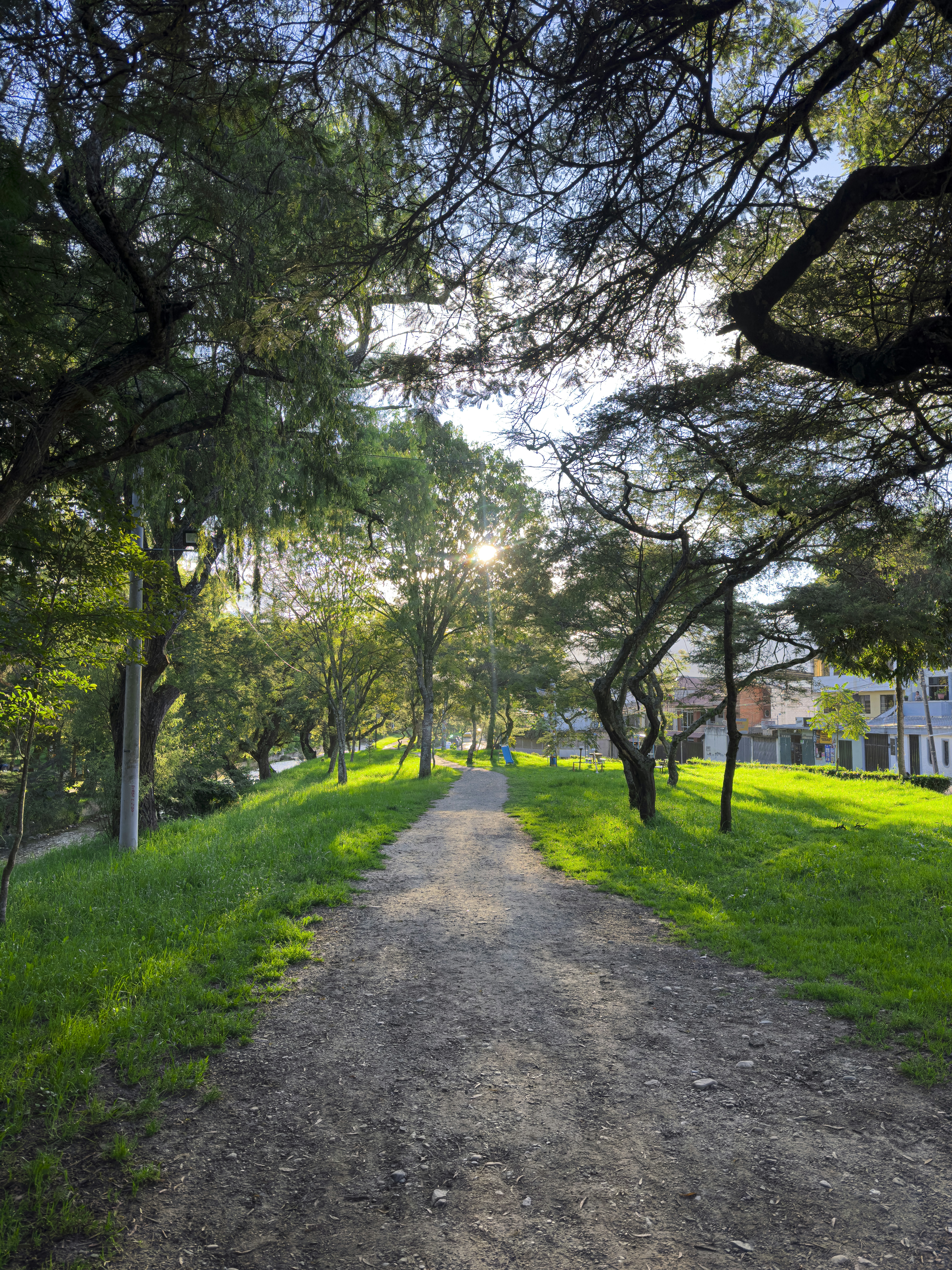 A trail through a green park on a sunny day.